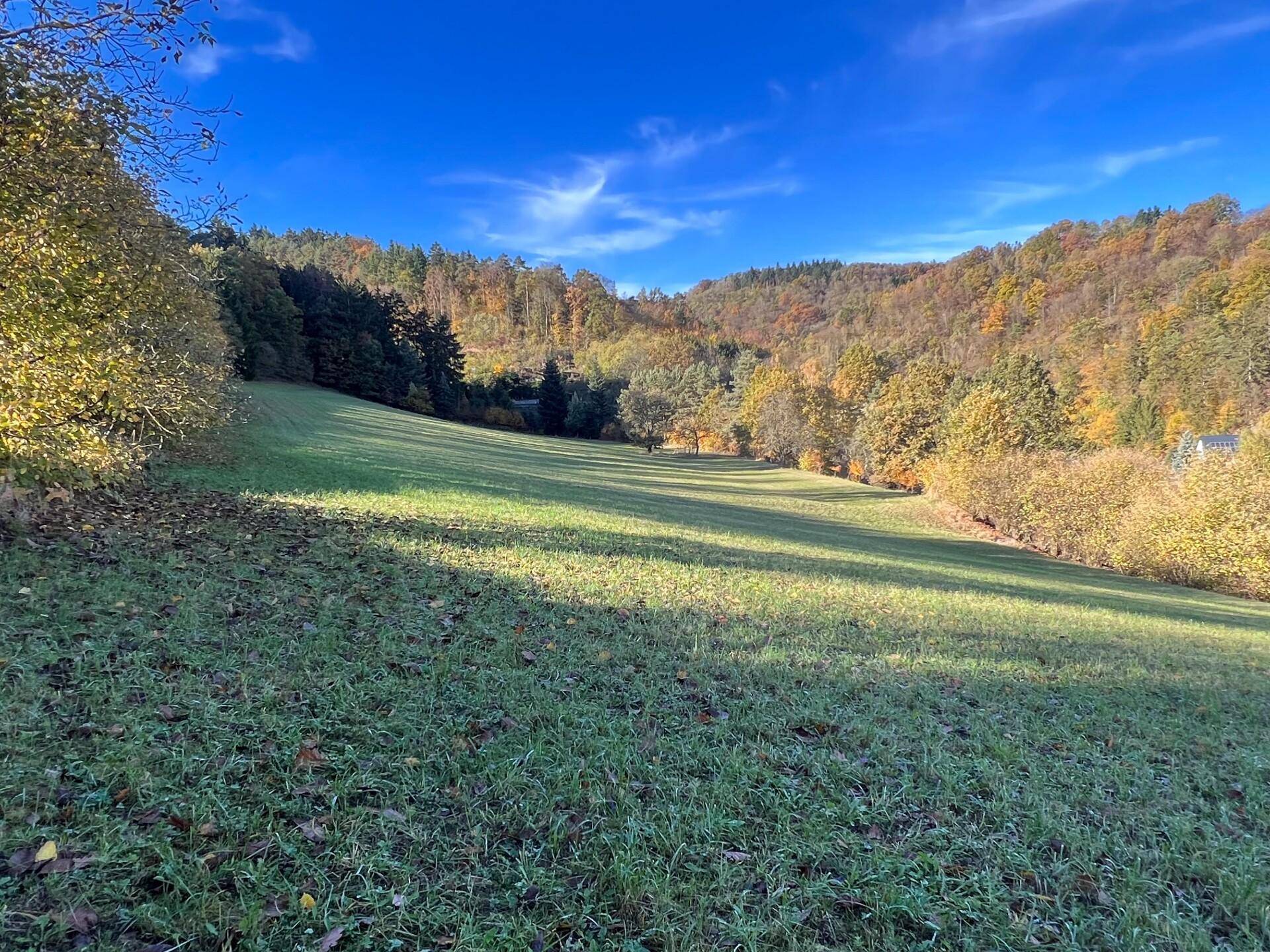 Weite grüne Wiesenlandschaft mit herbstlichen Bäumen und Häusern am Horizont unter strahlend blauem Himmel.