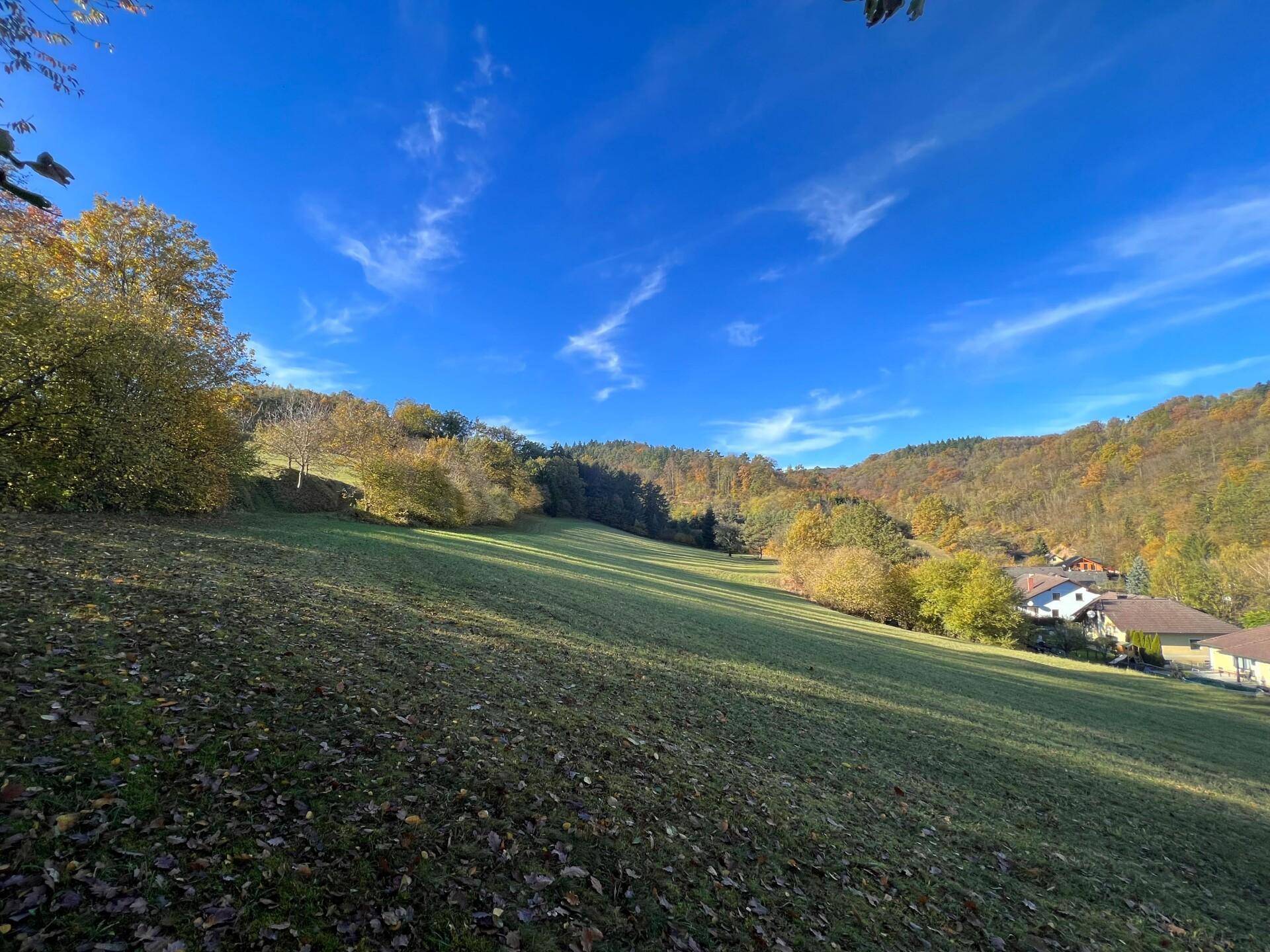 Weite grüne Wiesenlandschaft mit herbstlichen Bäumen und Häusern am Horizont unter strahlend blauem Himmel.