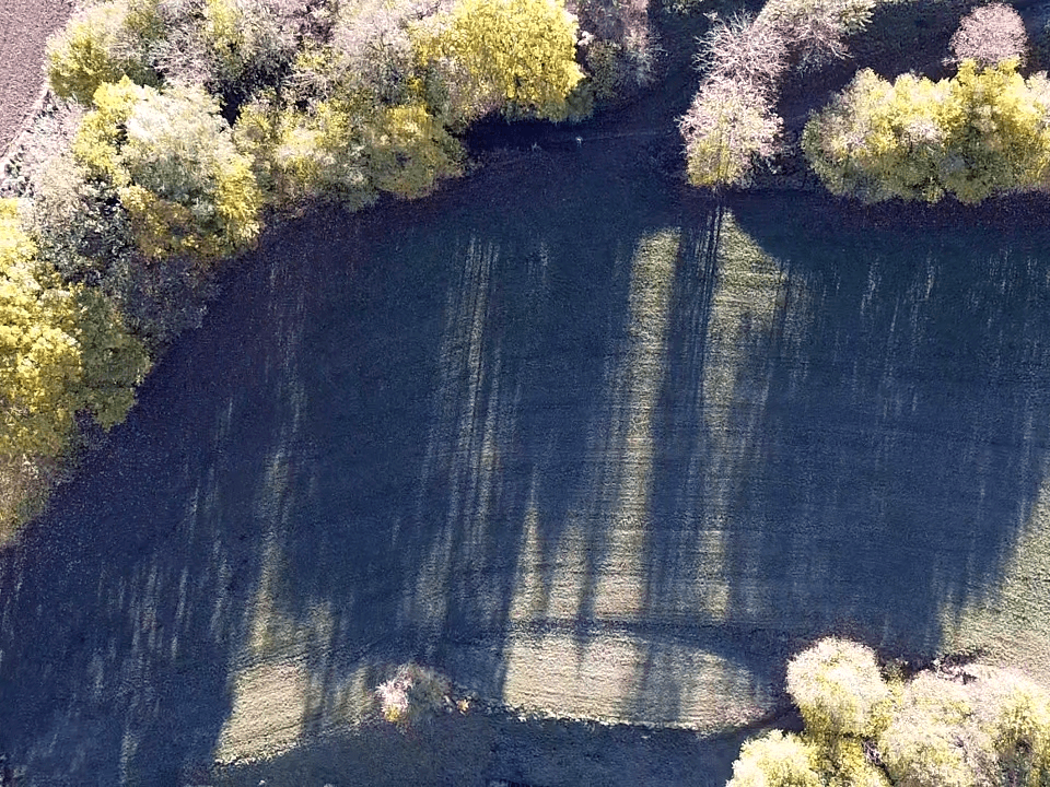 Luftaufnahme einer grünen Wiese mit langen Schatten, umgeben von Bäumen in herbstlicher Färbung.