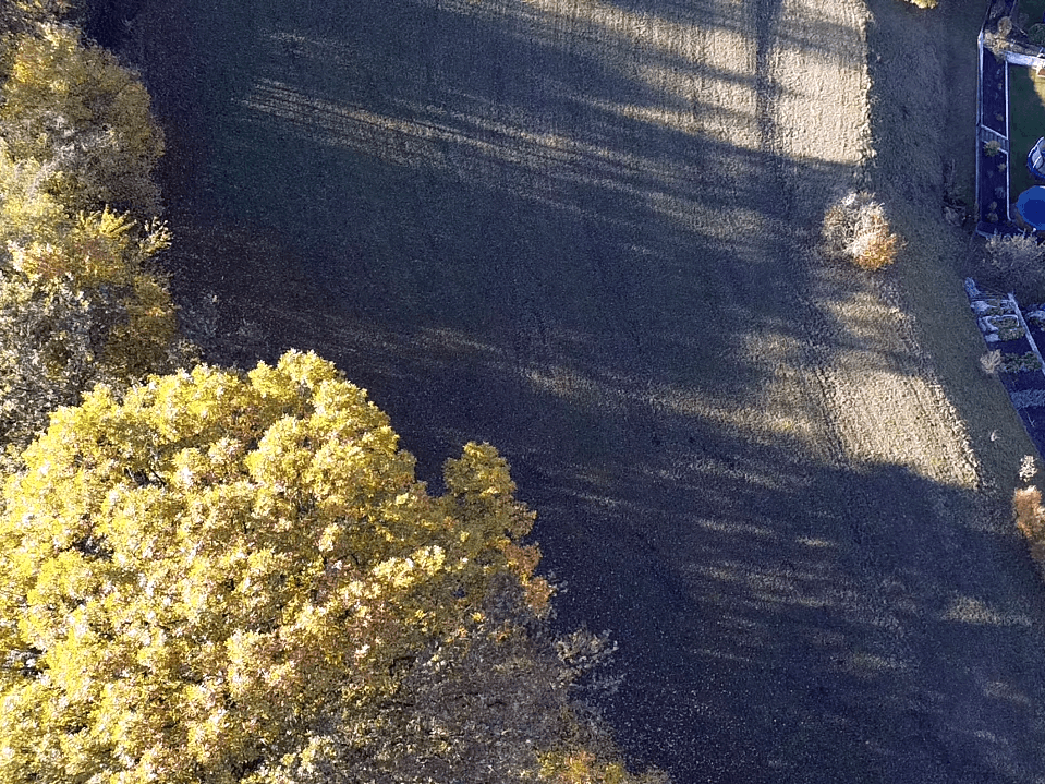 Nahaufnahme aus der Luft einer grünen Wiese mit langen Schatten, begrenzt von Bäumen und angrenzenden Gärten.