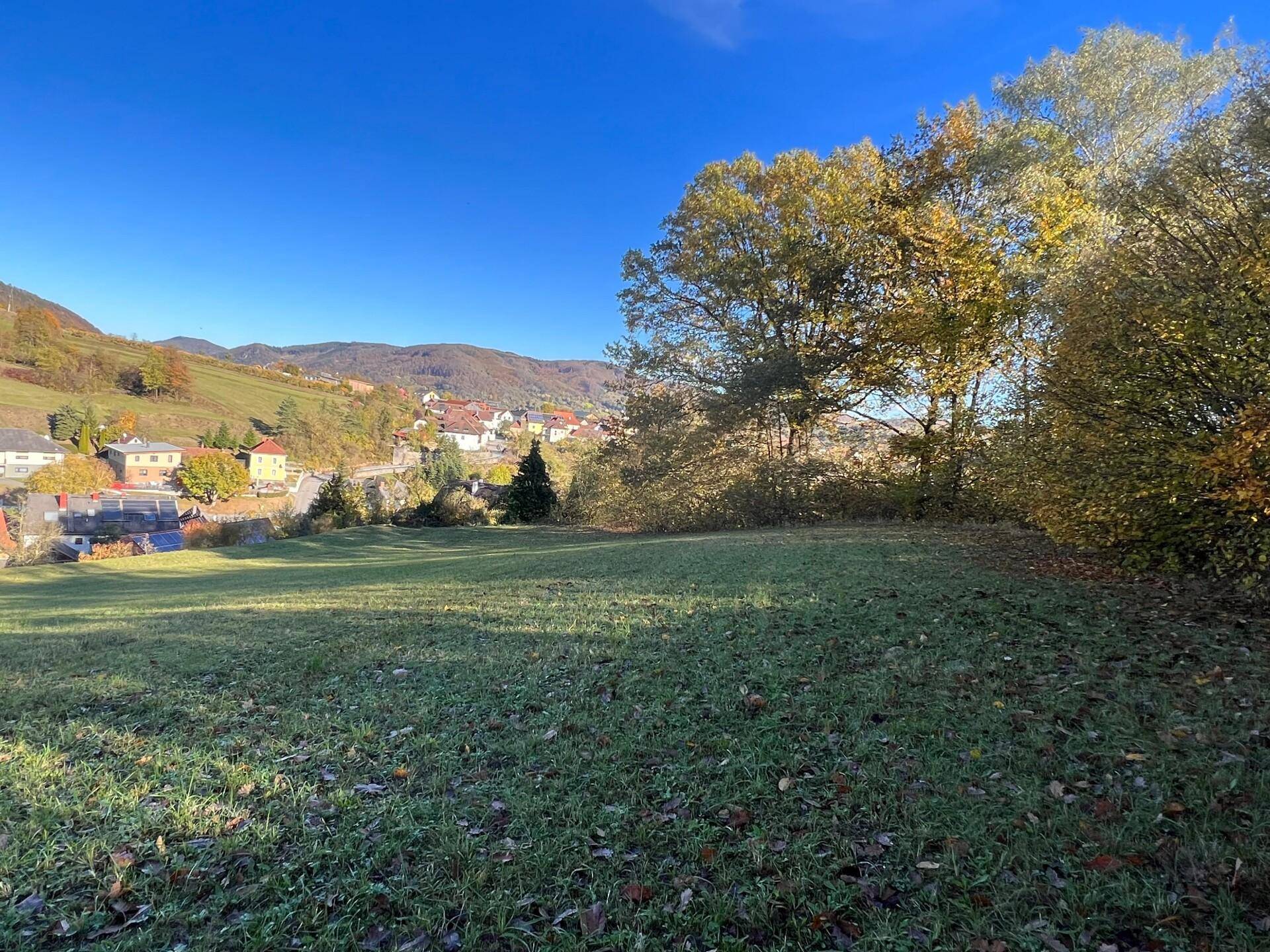 Weitläufige grüne Wiese mit einem malerischen Dorf im Tal und bewaldeten Hügeln im Hintergrund unter blauem Himmel.
