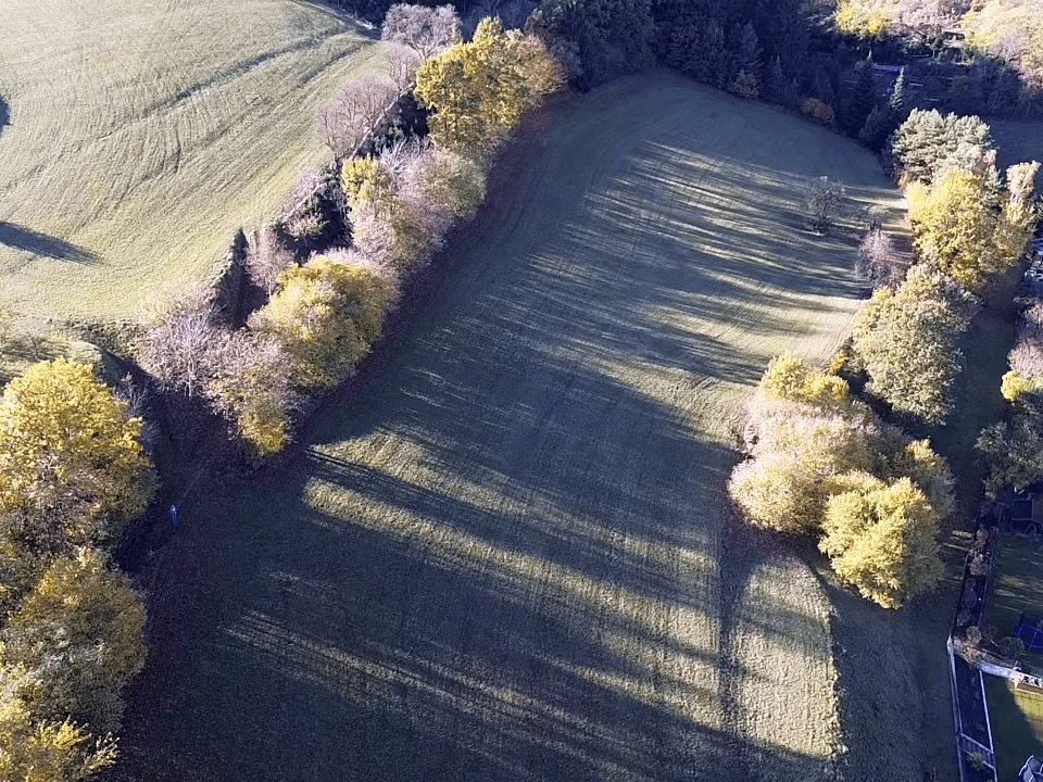 Luftaufnahme einer weitläufigen grünen Wiese, gesäumt von Baumreihen in herbstlicher Pracht, mit langen Schatten.
