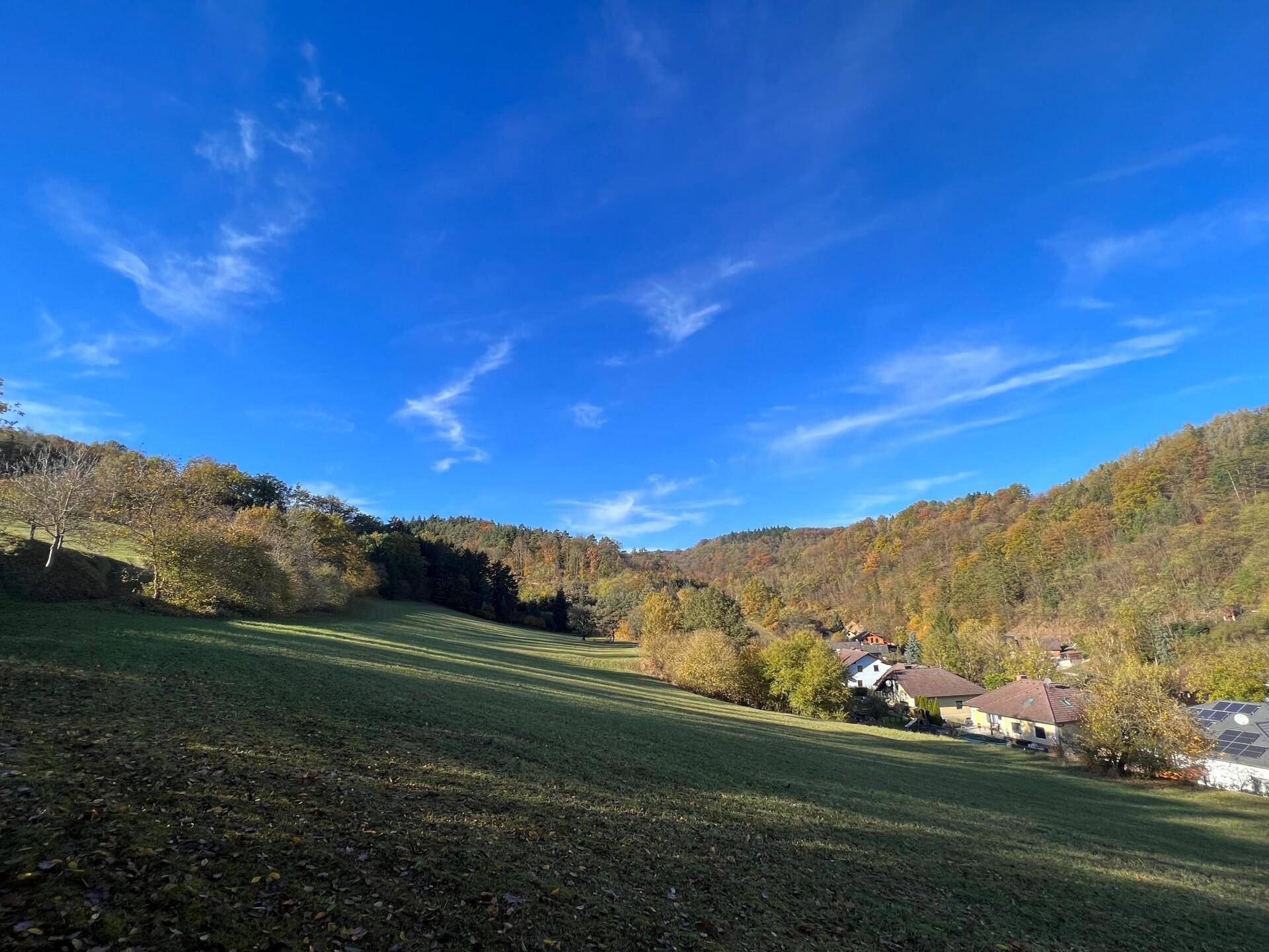 Weite grüne Wiesenlandschaft mit herbstlichen Bäumen und Häusern am Horizont unter strahlend blauem Himmel.