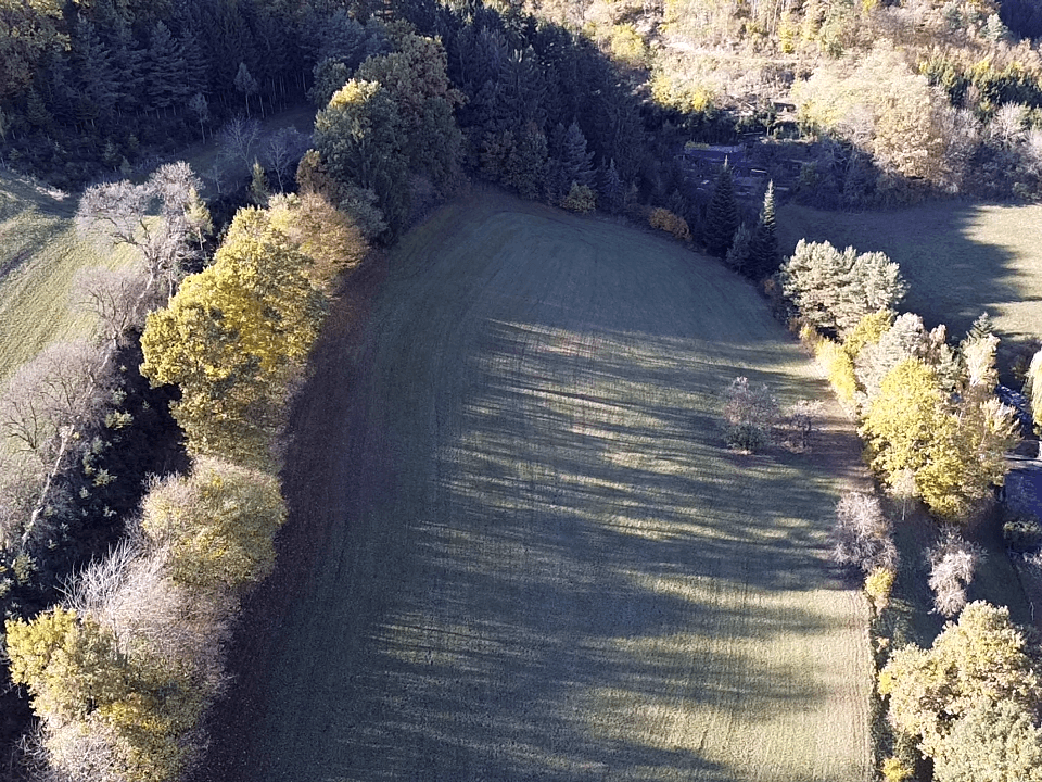 Luftaufnahme einer grünen Wiese, umgeben von herbstlichen Bäumen und bewaldeten Hügeln, mit langen Schatten.