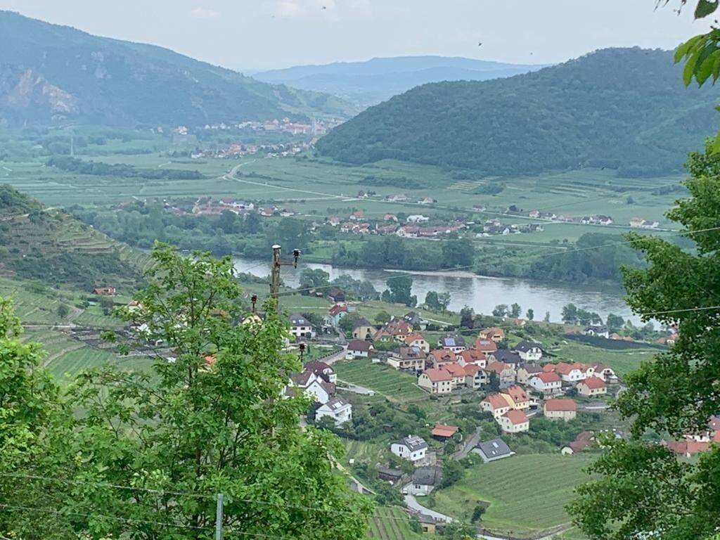 Panoramablick auf ein malerisches Dorf am Flussufer, umgeben von grünen Hügeln und Weinbergen.