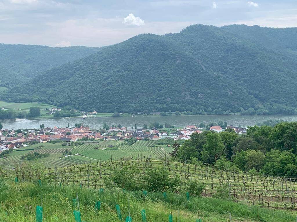 Weitläufiger Blick über Weinberge, ein Dorf am Fluss und bewaldete Berge unter bewölktem Himmel.