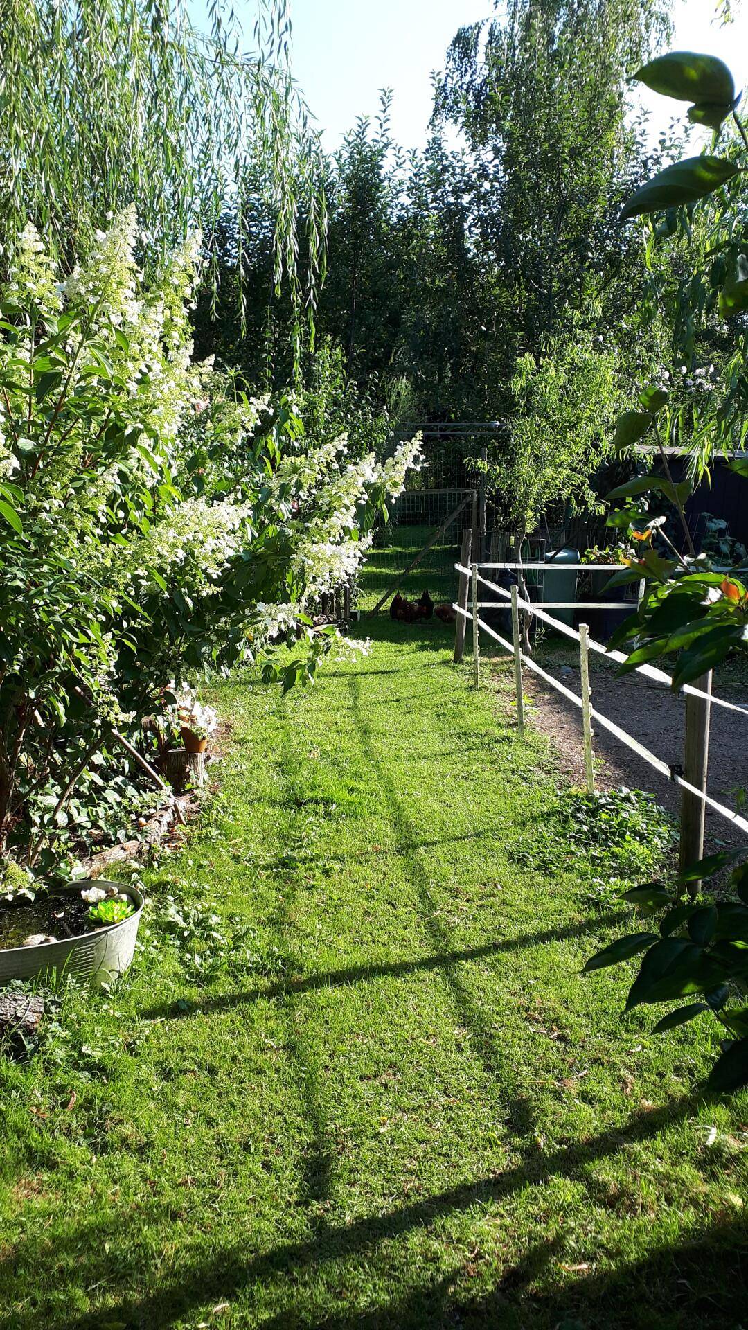 Langer, grüner Gartenweg mit Zäunen und hohen Bäumen, der zu weiteren Bereichen führt.