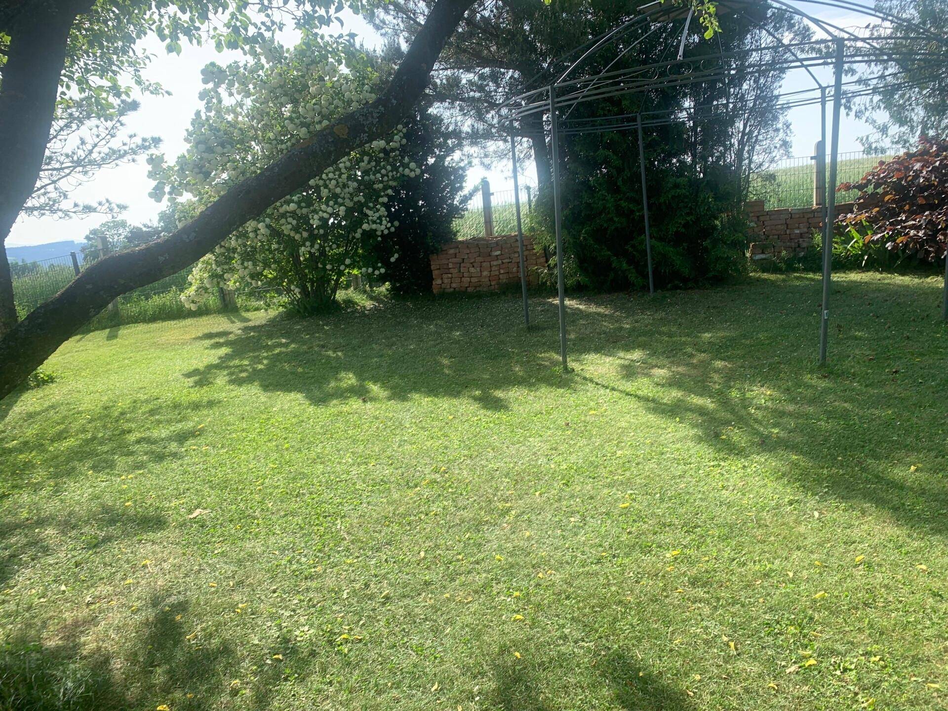 Herrlicher großer Garten mit vielen Obstbäumen
