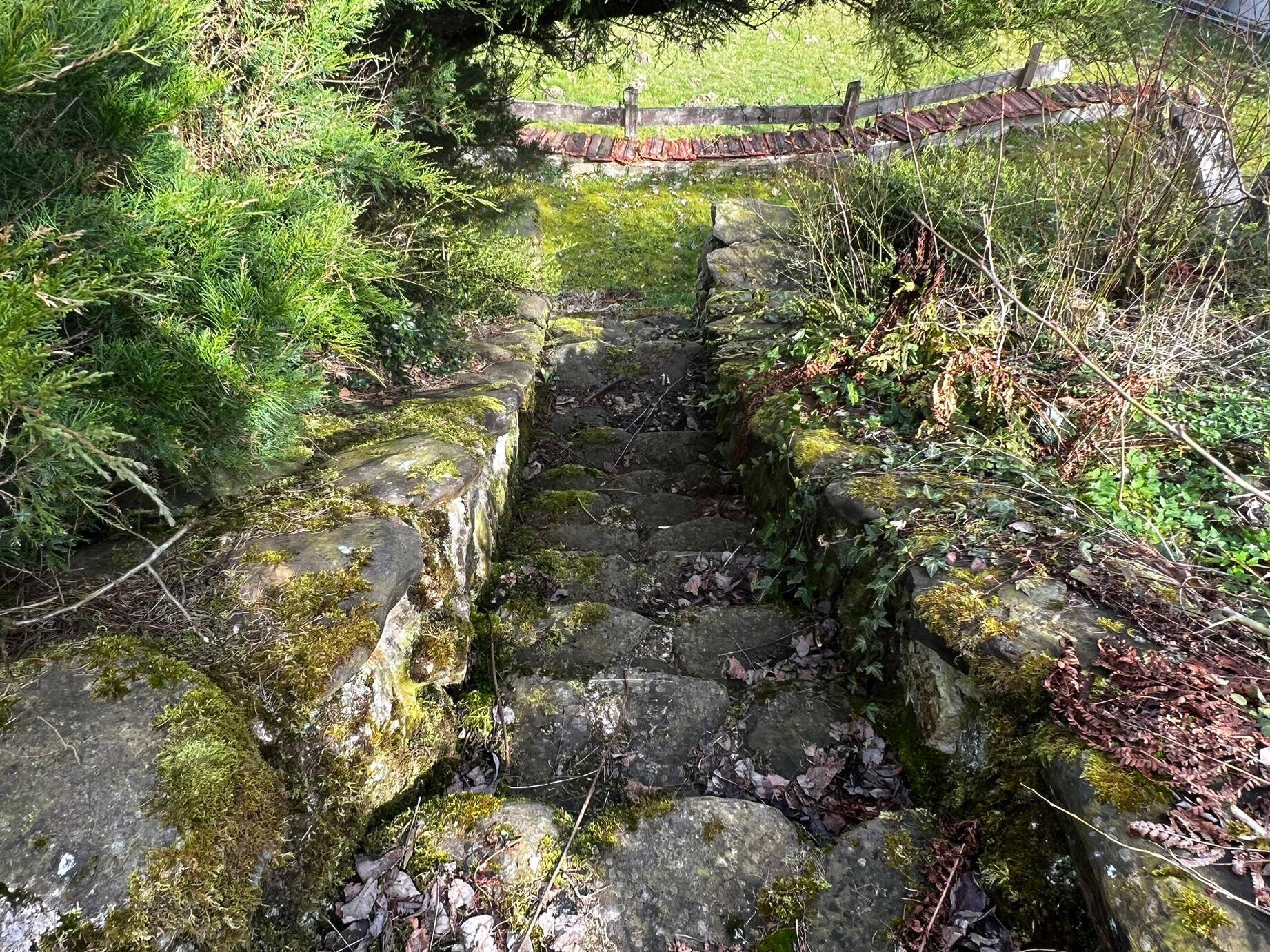 Moosbewachsene Steinstufen führen einen grasbewachsenen Hang in einem Garten hinunter.