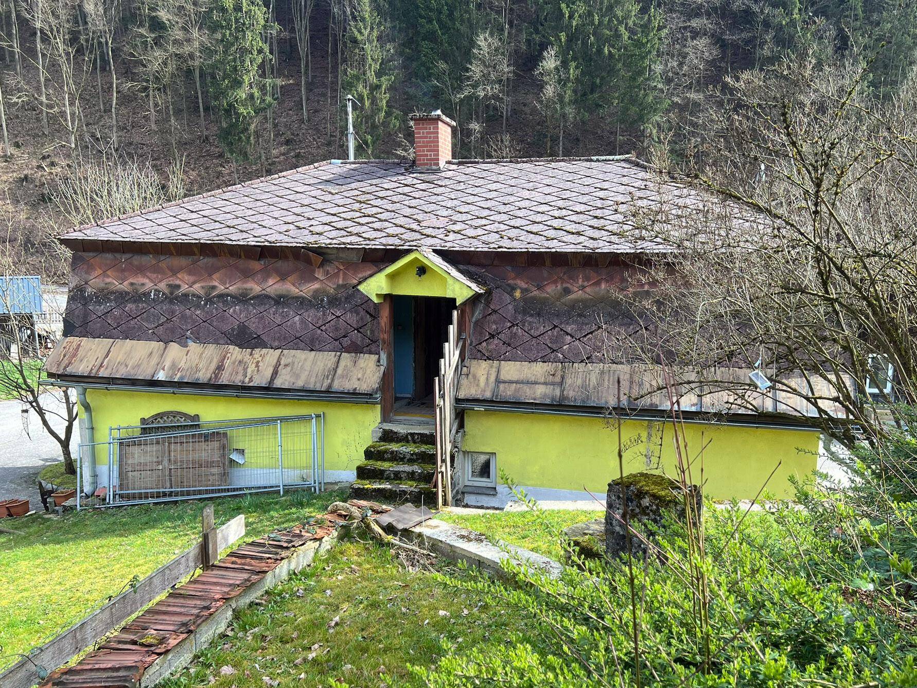 Rückansicht des Hauses mit Außentreppe zu einem oberen Eingang, umgeben von Grünflächen.