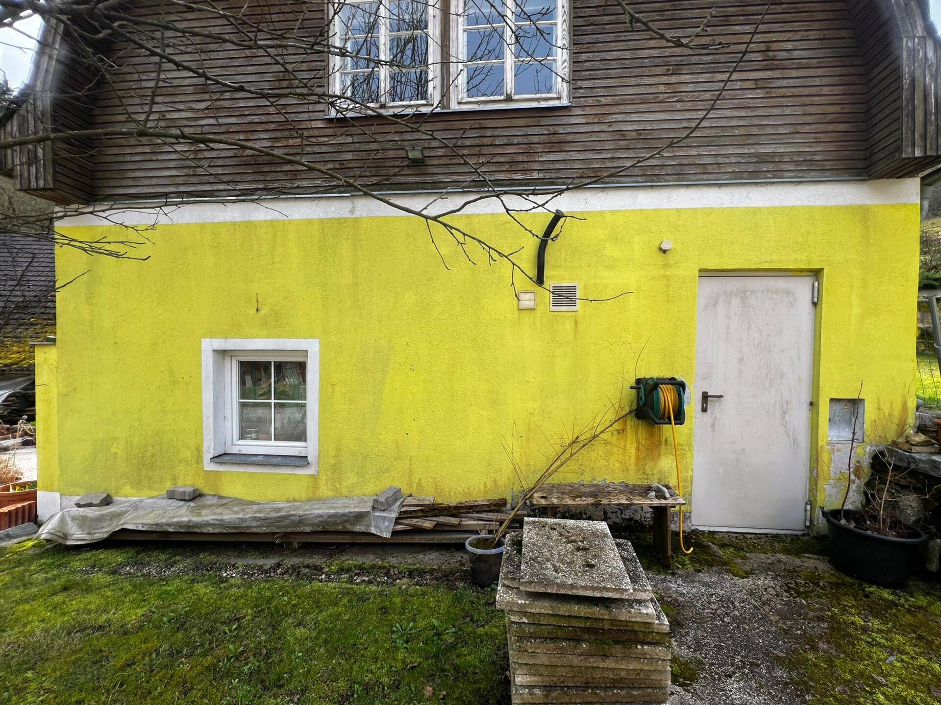 Gelbe Hausfassade mit weißer Tür und Fenster, umgeben von einem ungepflegten Gartenbereich.