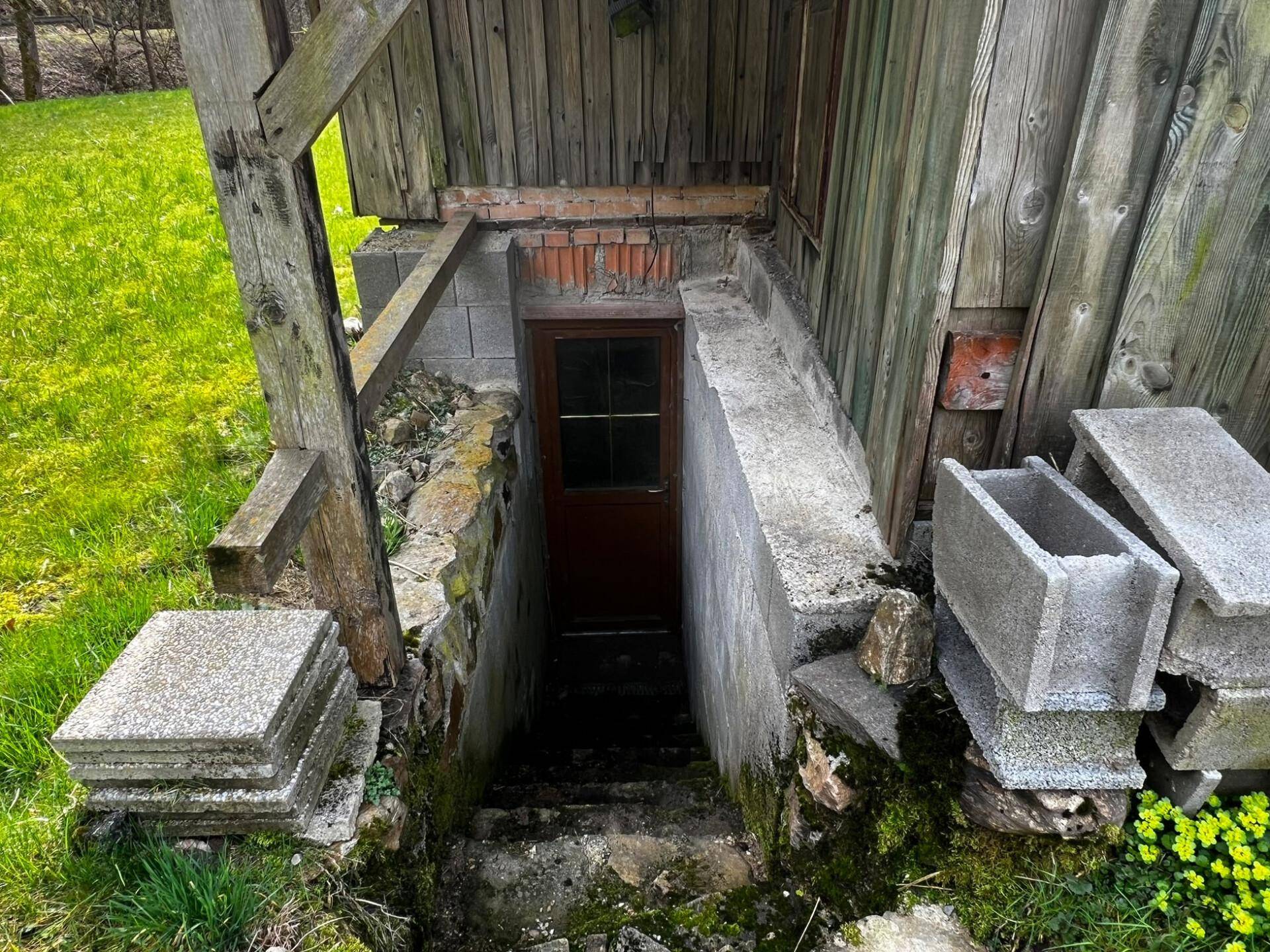 Eingang zu einem Keller oder Untergeschoss mit Betontreppe und umgebender Grünfläche.
