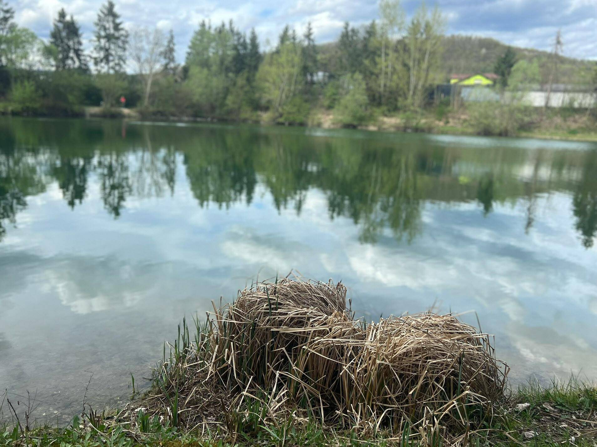 Blick auf See/Teich