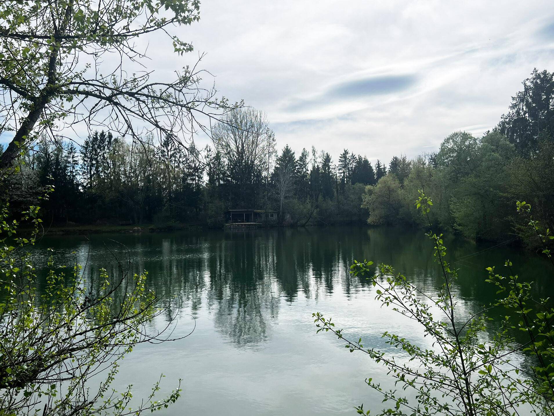 Blick auf See/Teich
