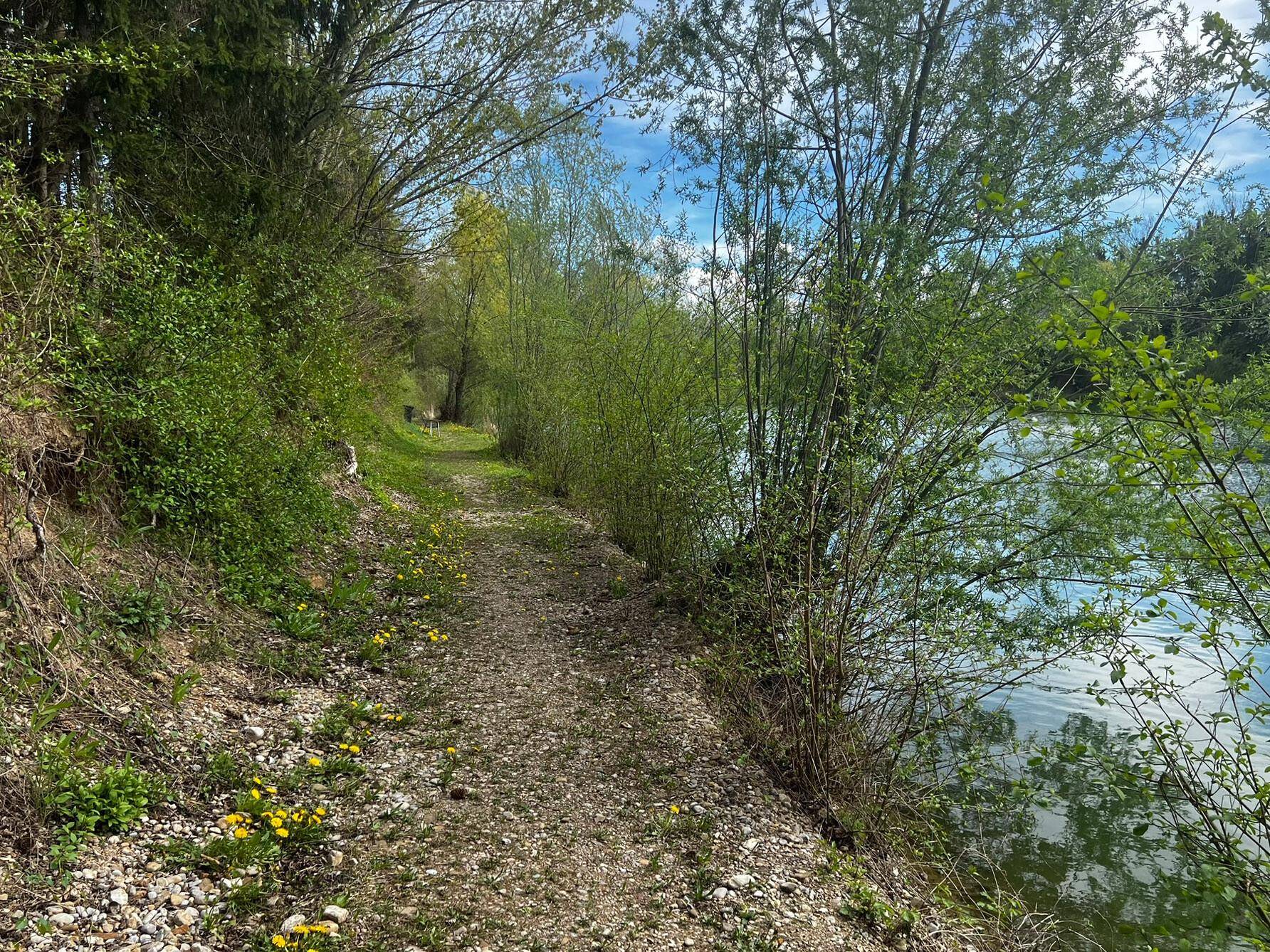 Weg rund um den See/Teich