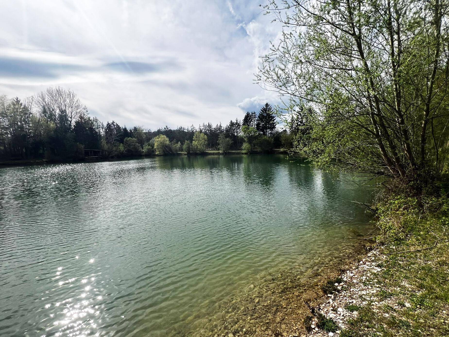 Blick auf See/Teich