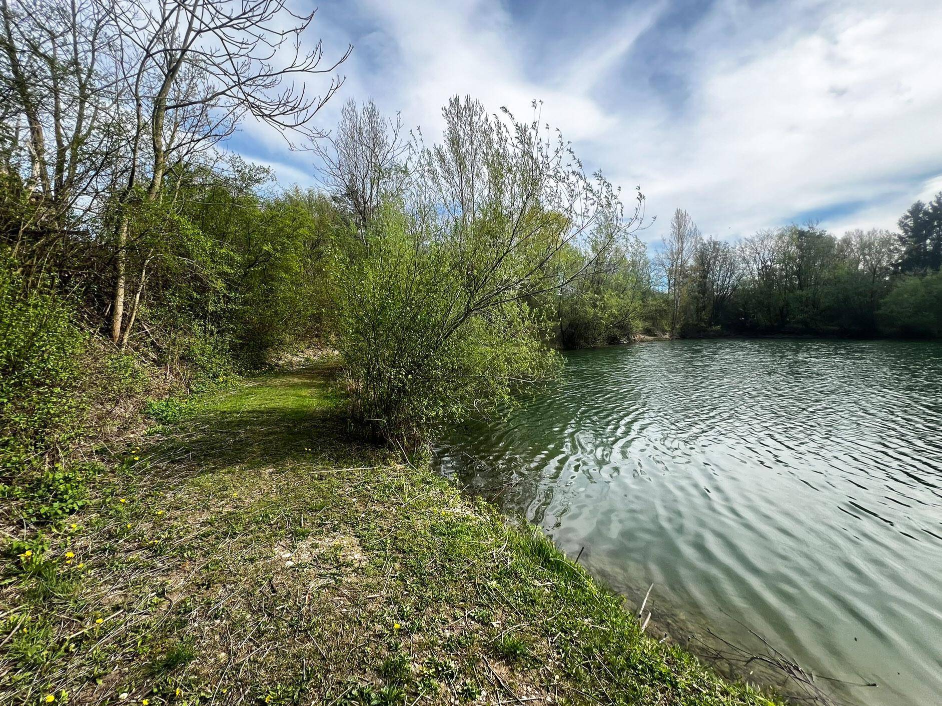 Blick auf See/Teich