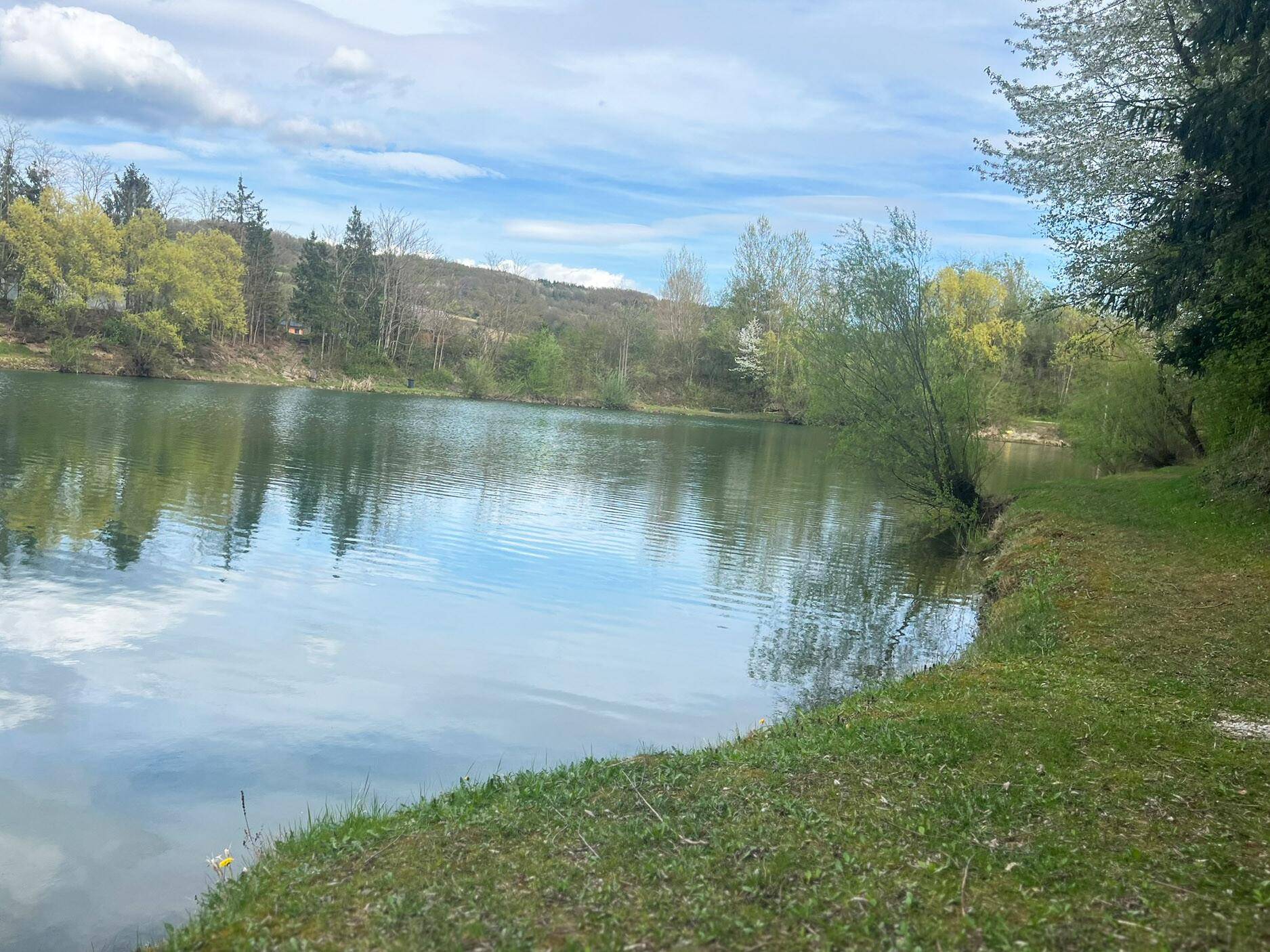 Blick auf See/Teich