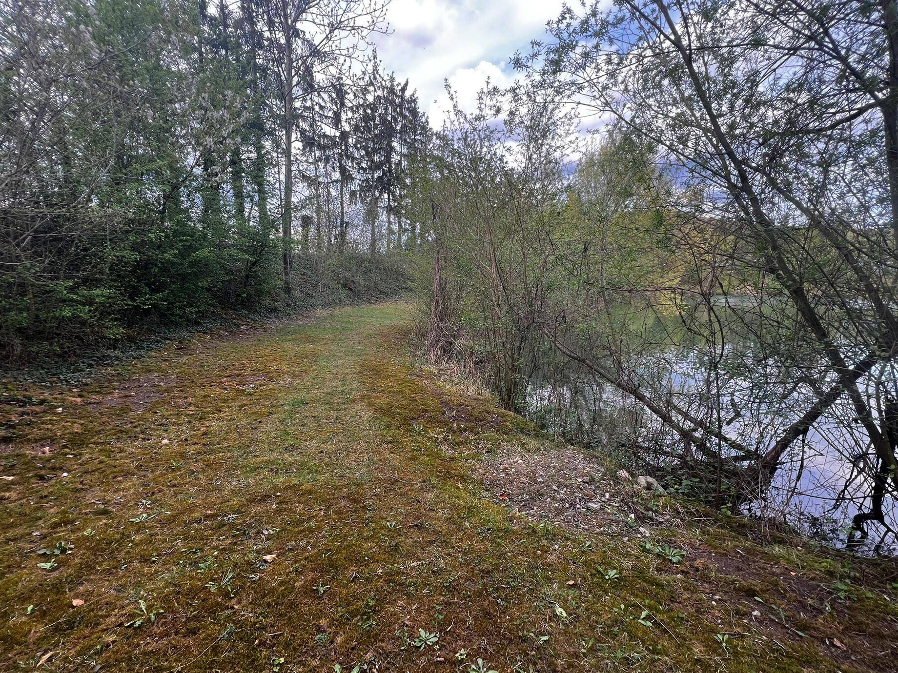 Weg rund um den See/Teich