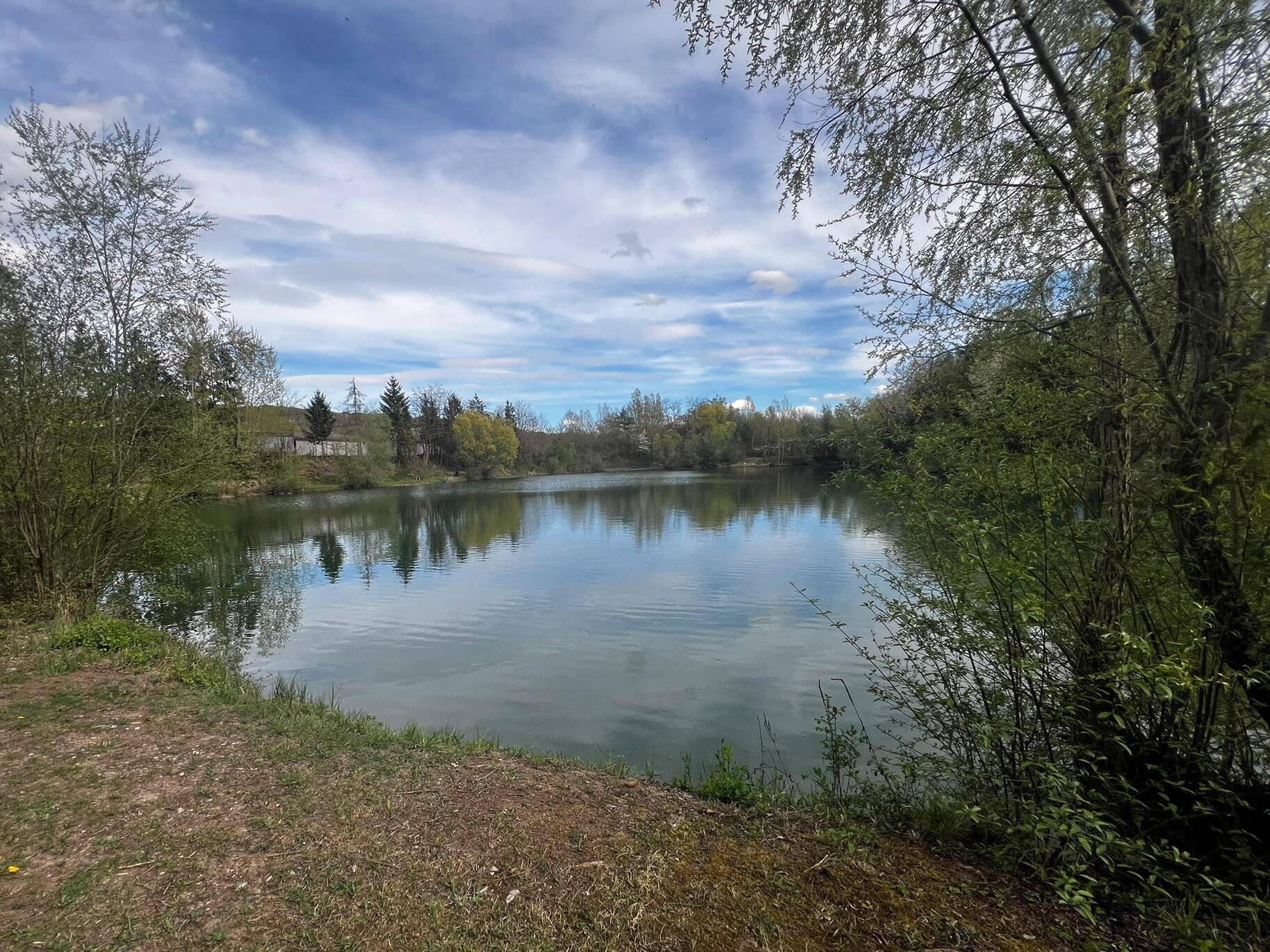 Blick auf See/Teich