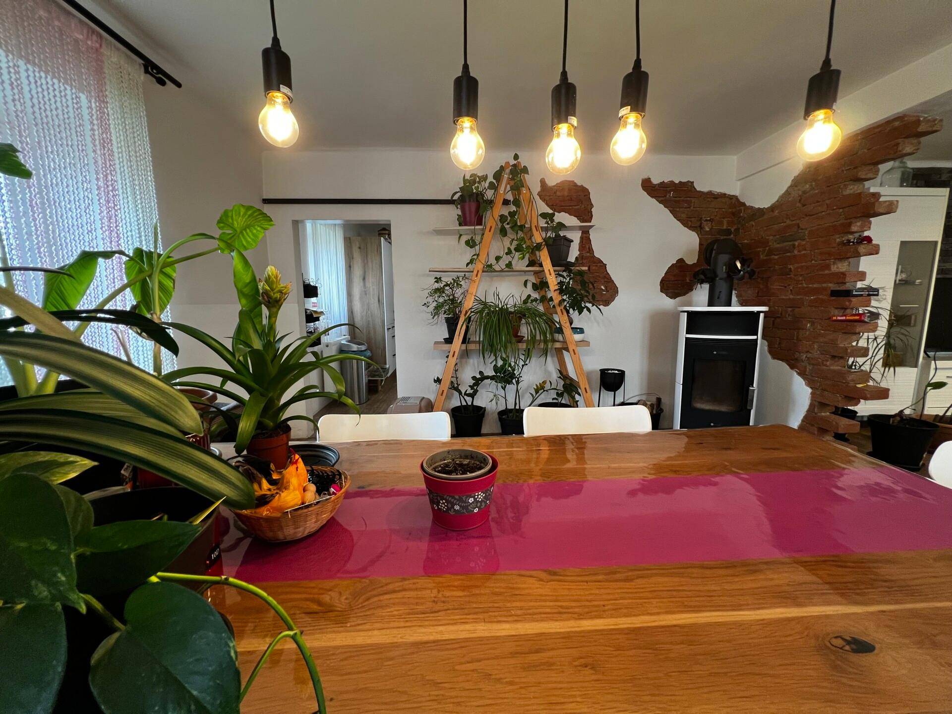 Essbereich mit Holztisch, modernen Stühlen und dekorativen Pflanzen, ergänzt durch einen Kaminofen.