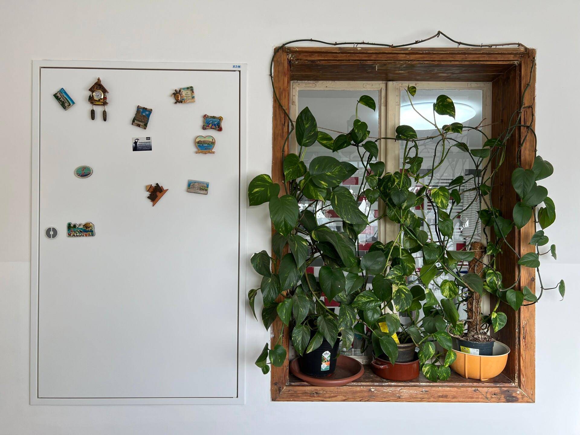 Wandbereich mit weißem Schrank und einem Fenster, das mit üppigen Kletterpflanzen dekoriert ist.