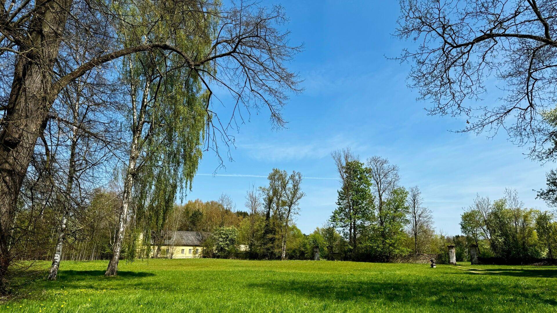 Weitläufige grüne Wiese mit vereinzelten Bäumen und einem Blick auf entfernte Gebäude unter blauem Himmel.