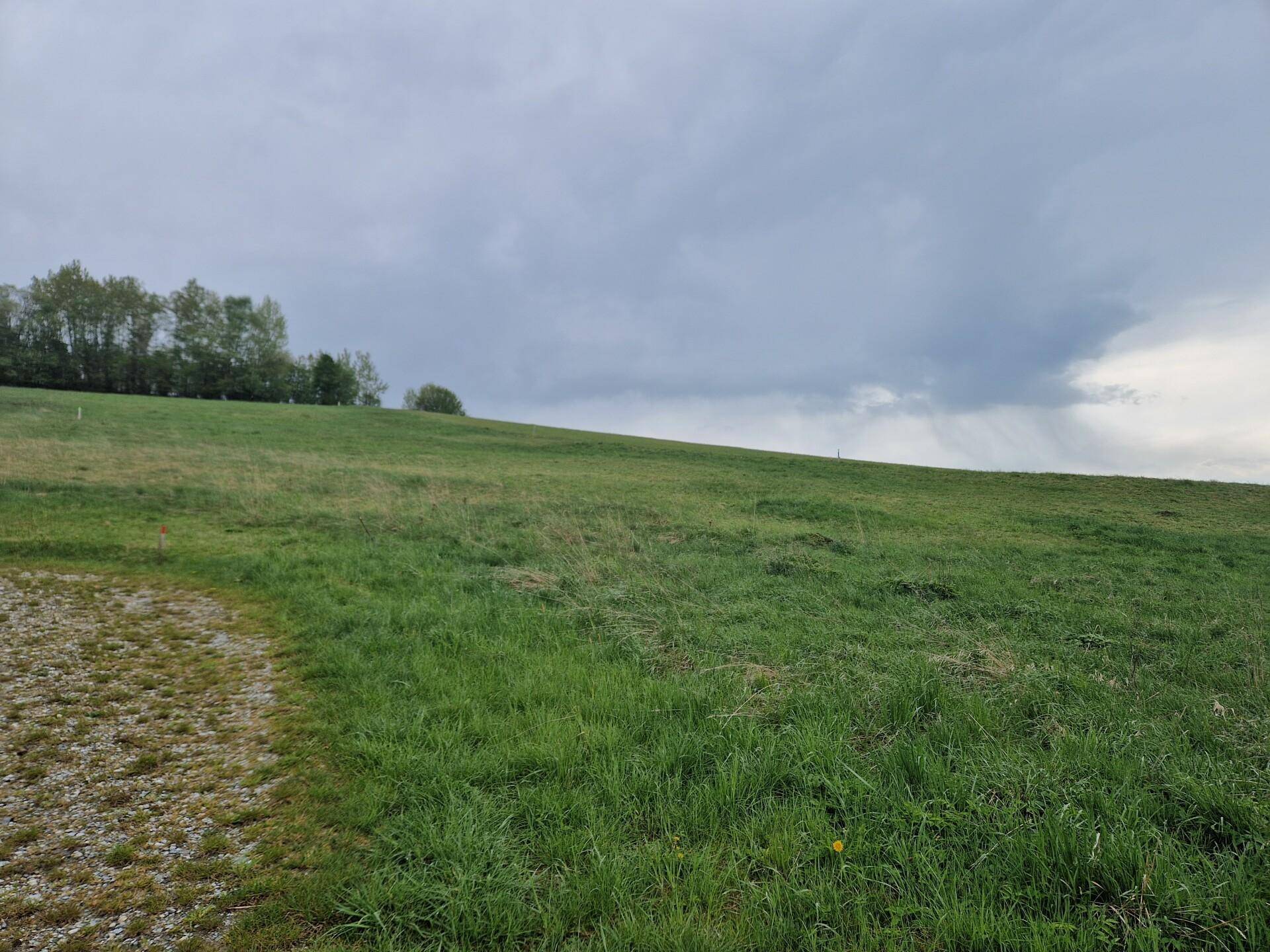Ansicht1