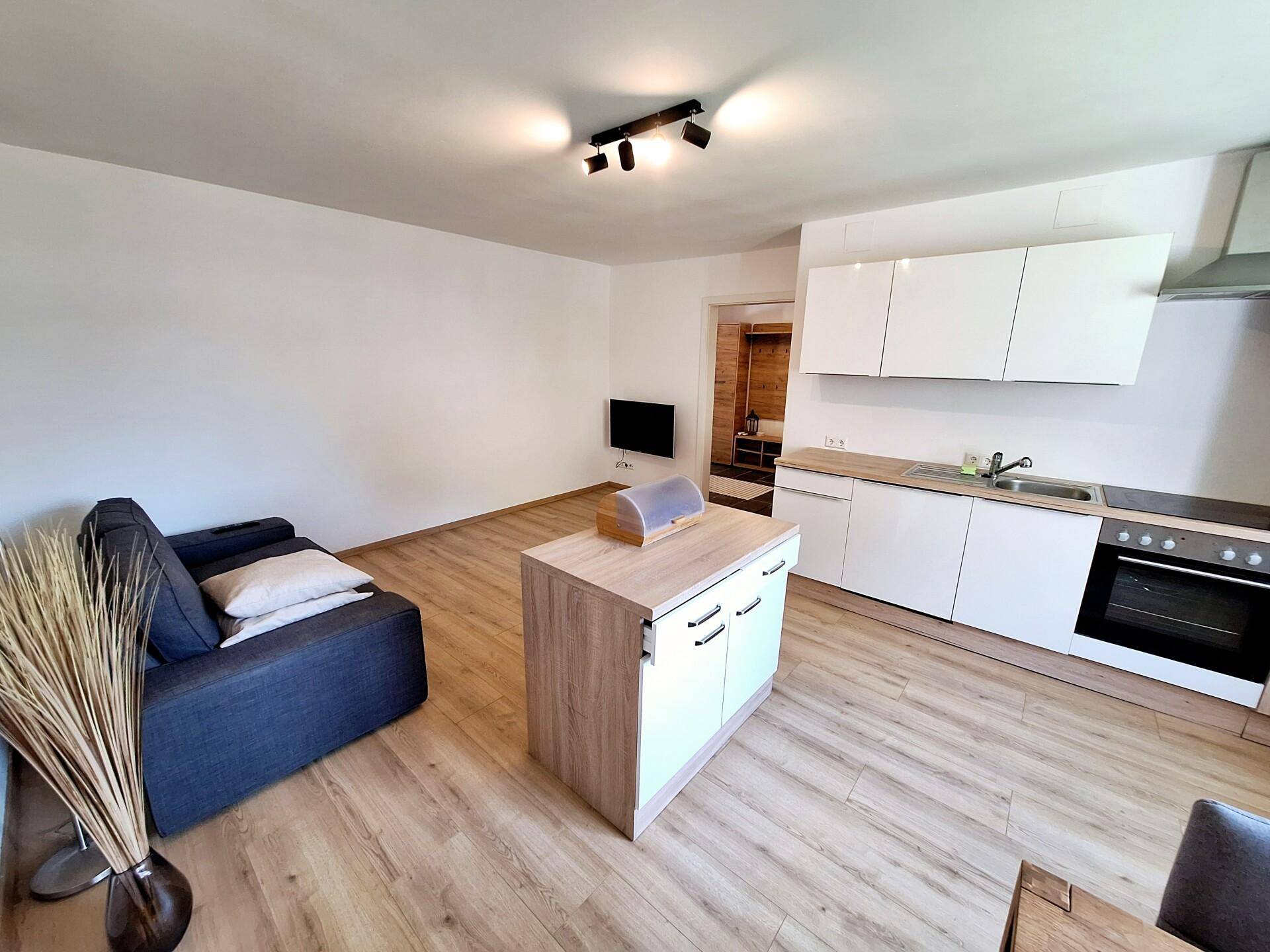 Einliegerwohnung Wohnzimmer