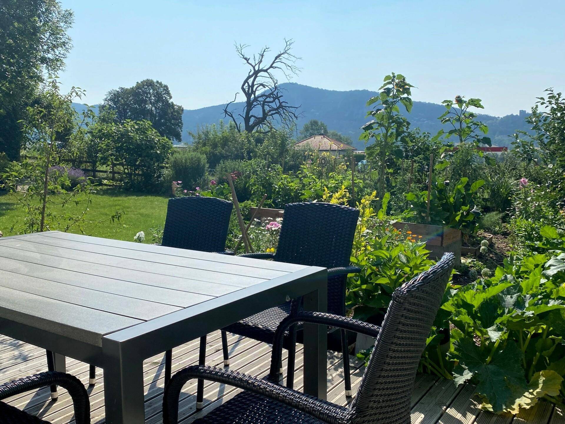 Blick von der Terrasse bei der Gartenhütte