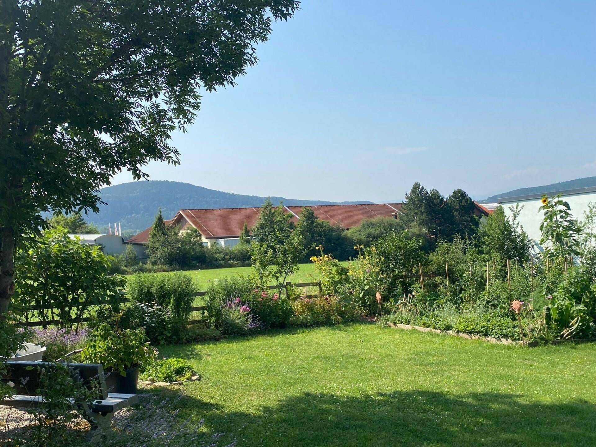 Ausblick von der Terrasse in den Garten