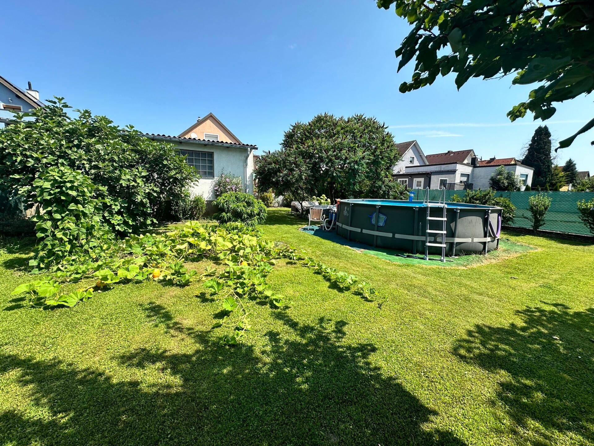Garten mit Pool