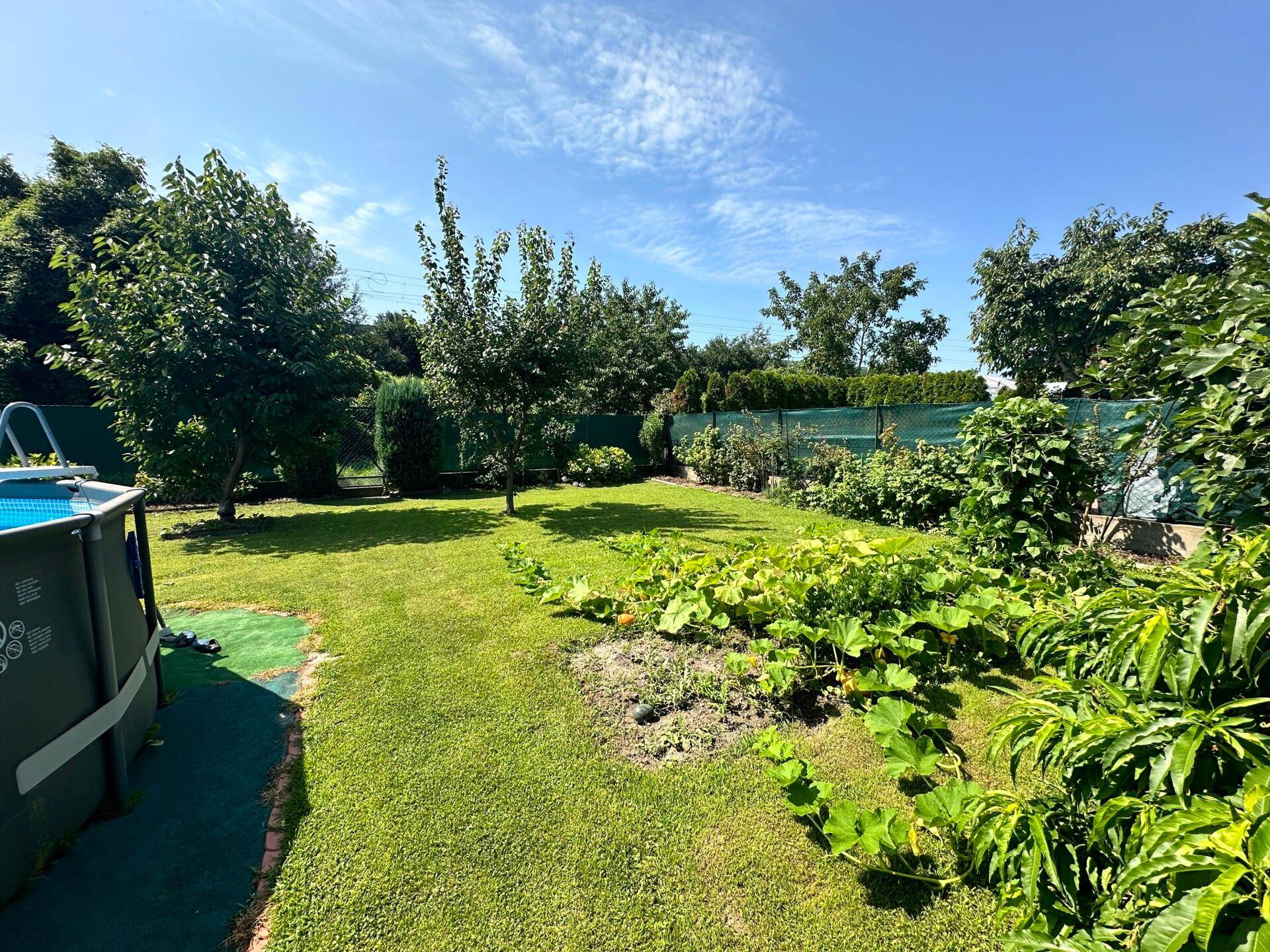 Garten 3