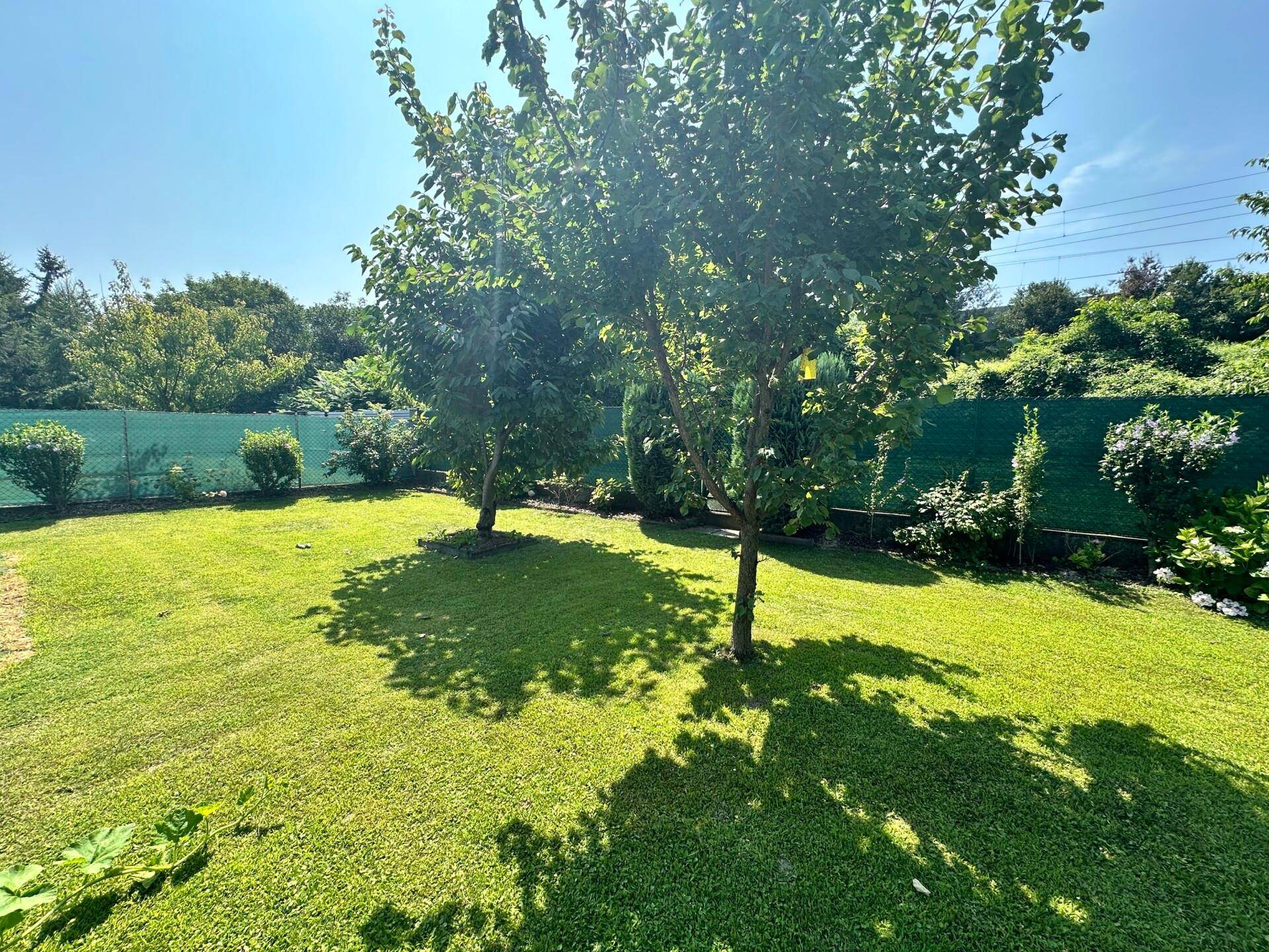 Garten 4