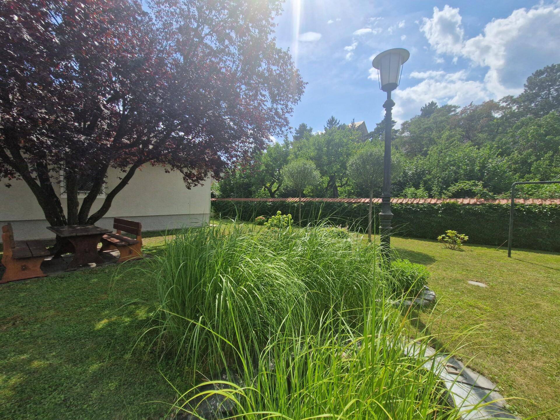 Garten1