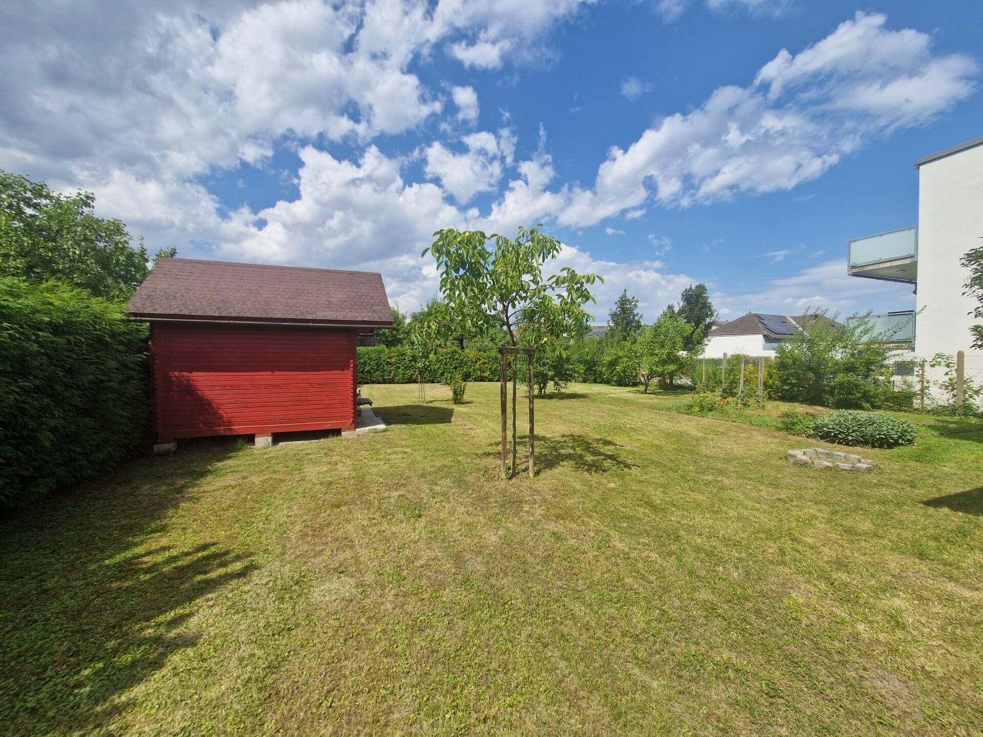 Garten4