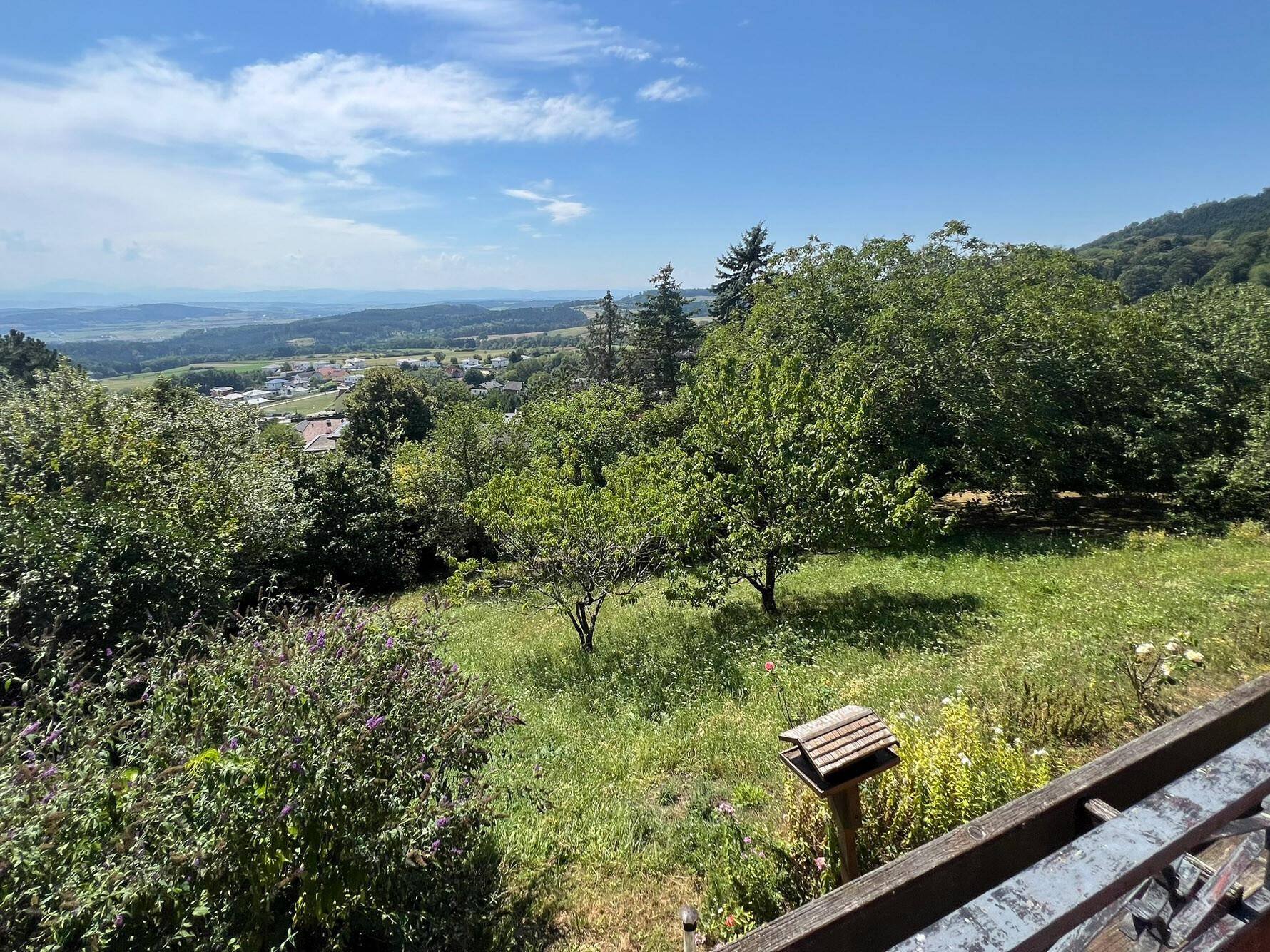 Blick in den großen Garten von Balkon aus