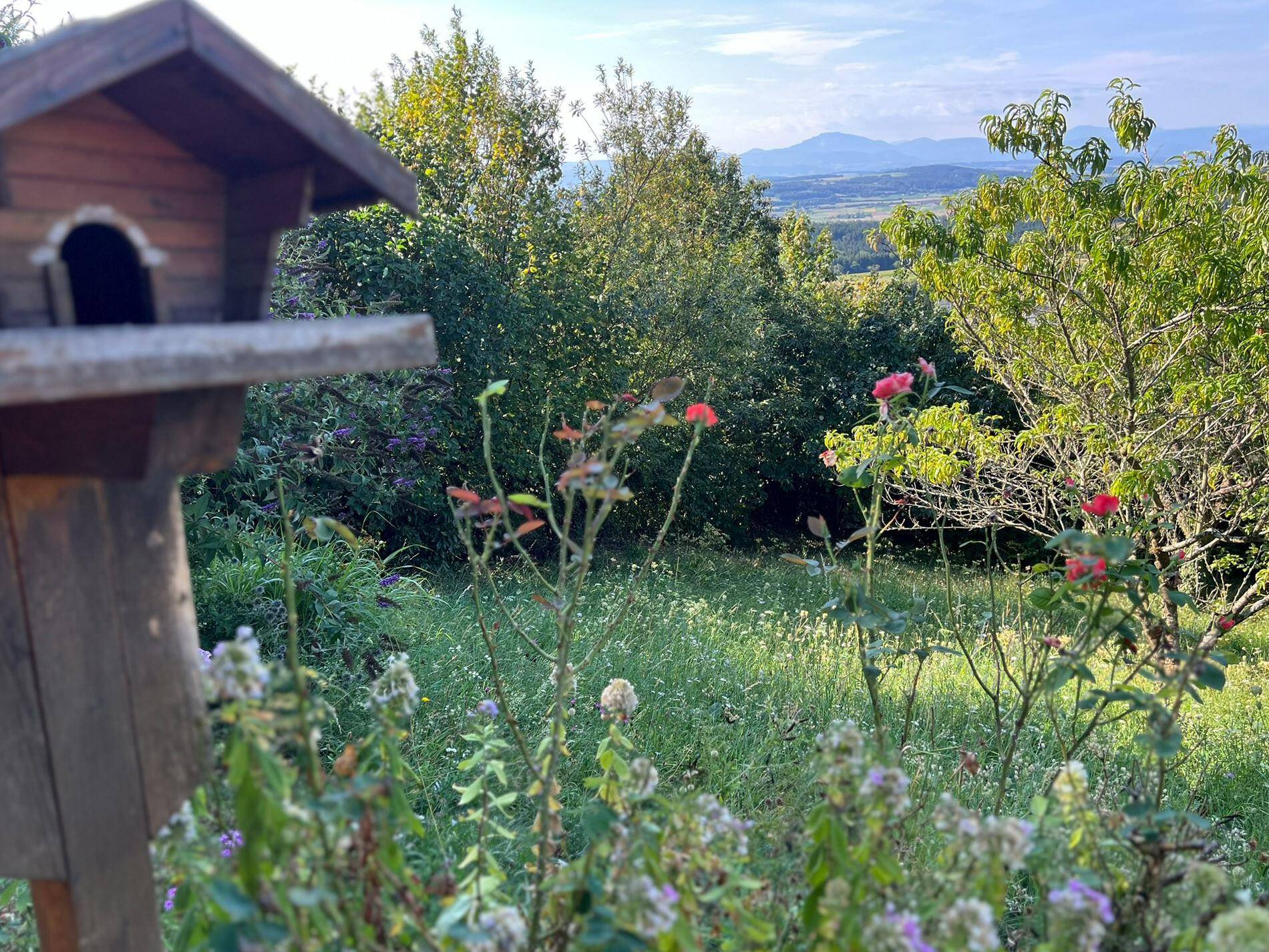 Blick in den großen Garten