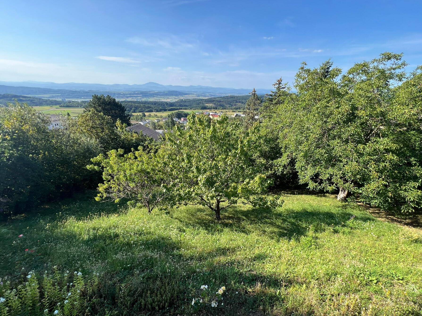 Blick in den großen Garten