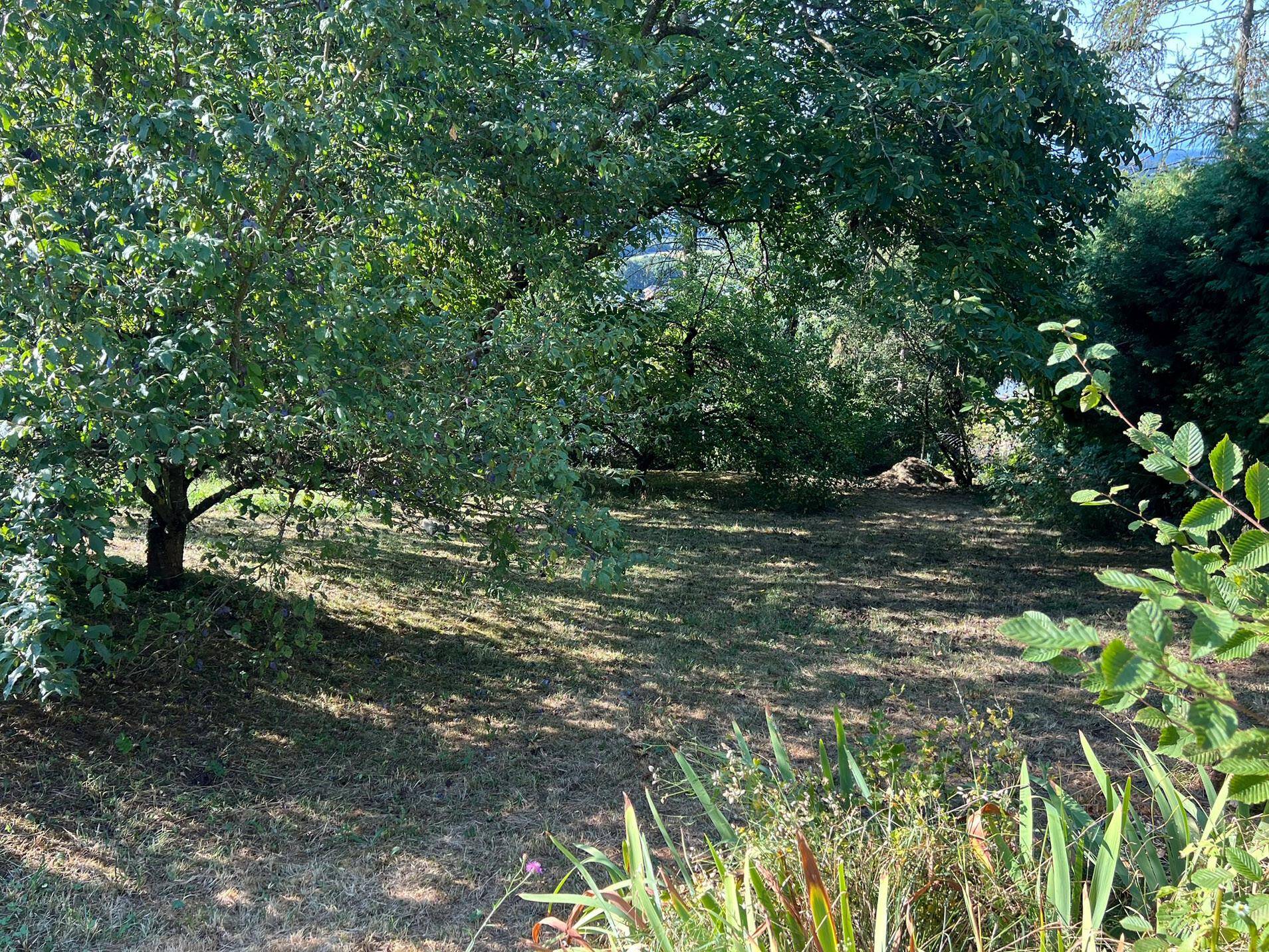 Blick in den großen Garten