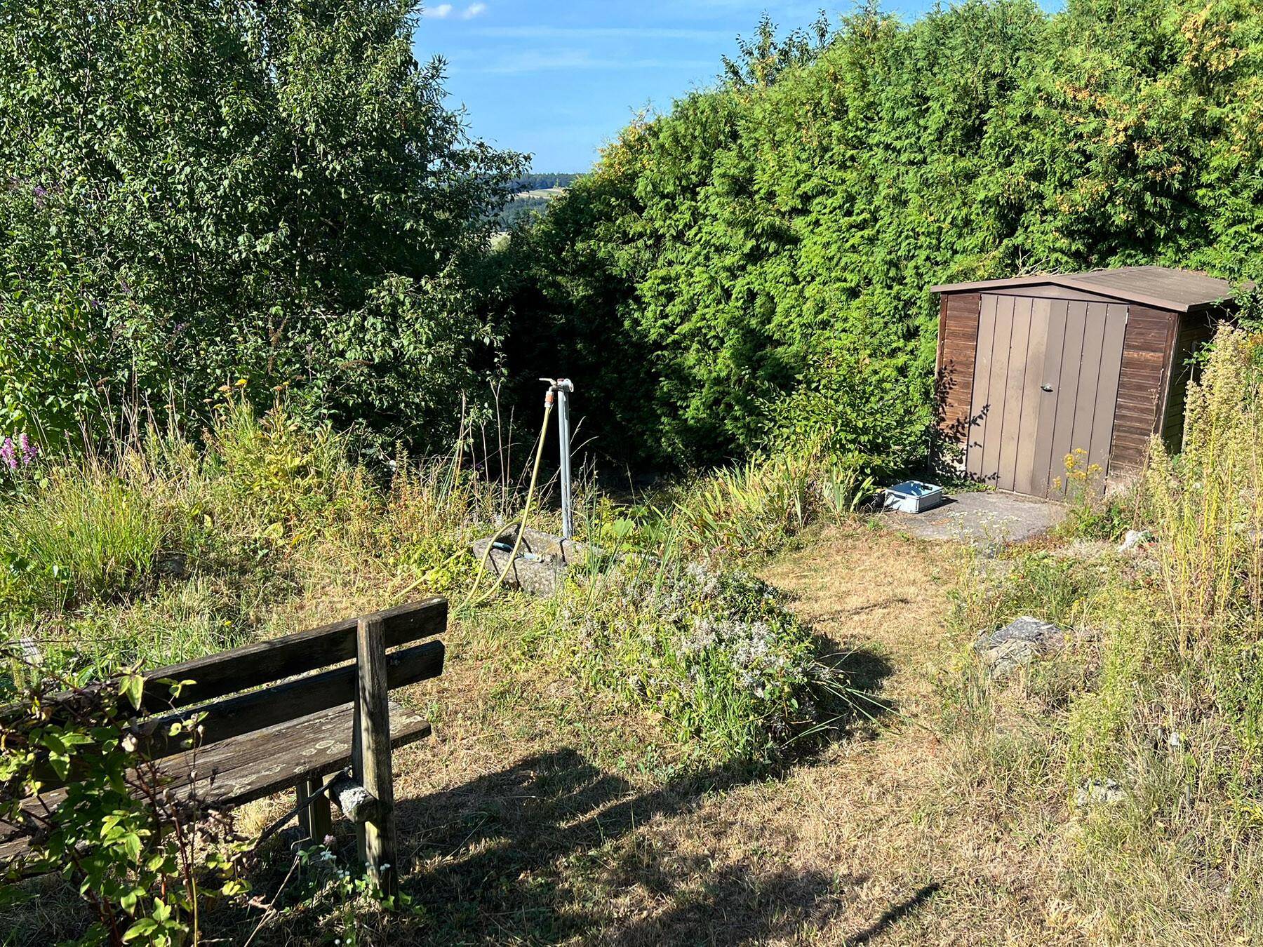 Blick in den großen Garten