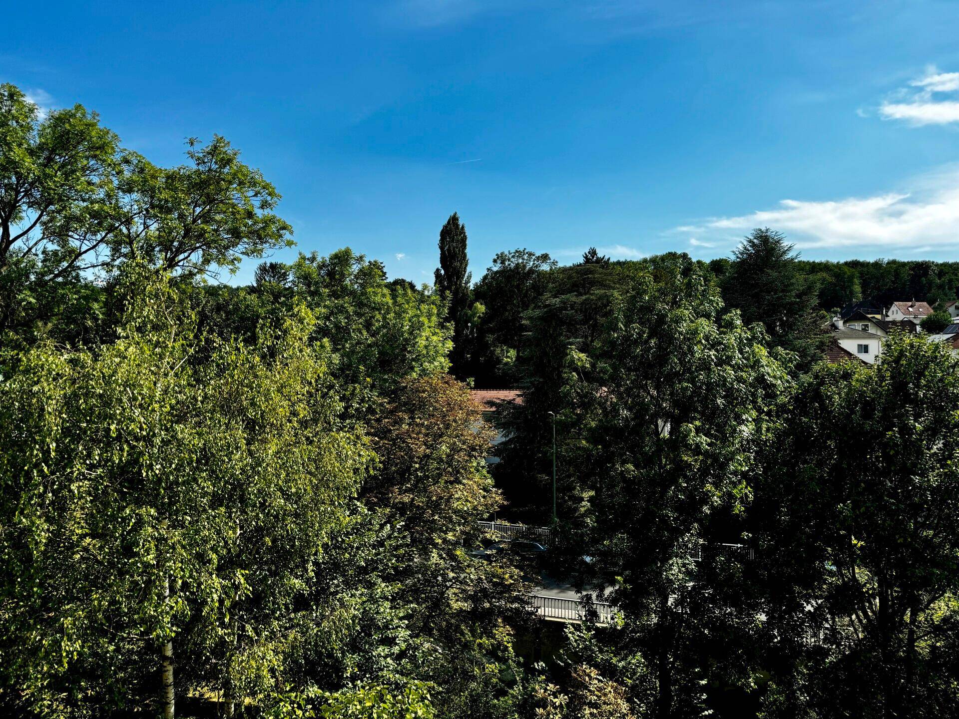 Aussicht Loggia