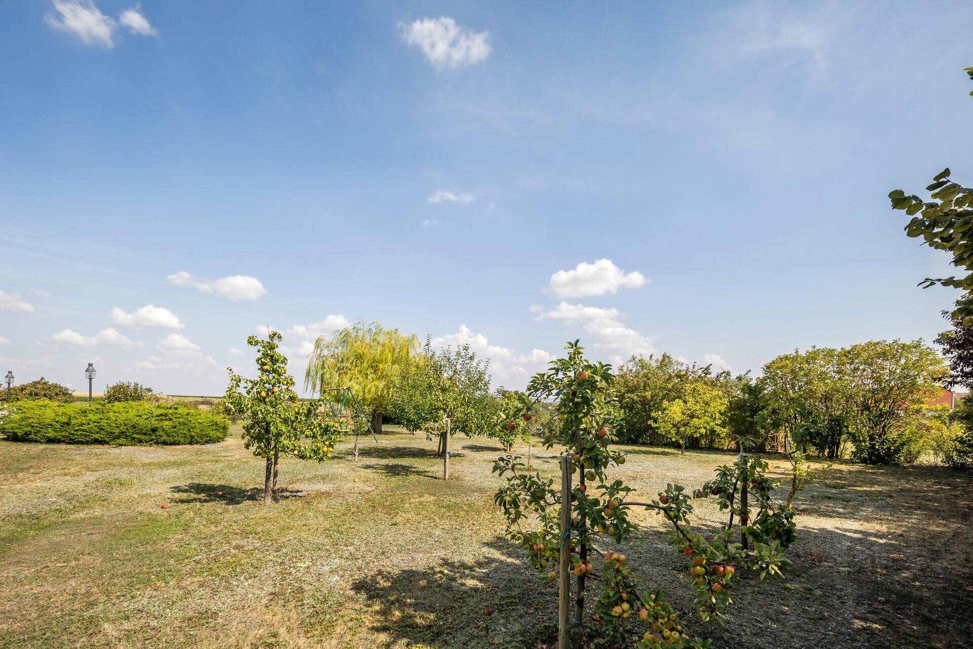 Streuobstgarten