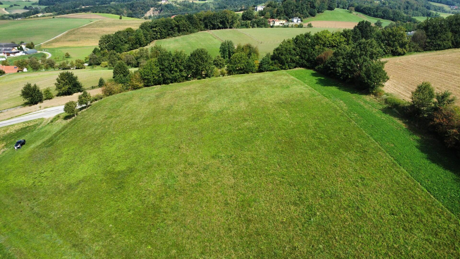 Wiese St. Leonhard am Forst