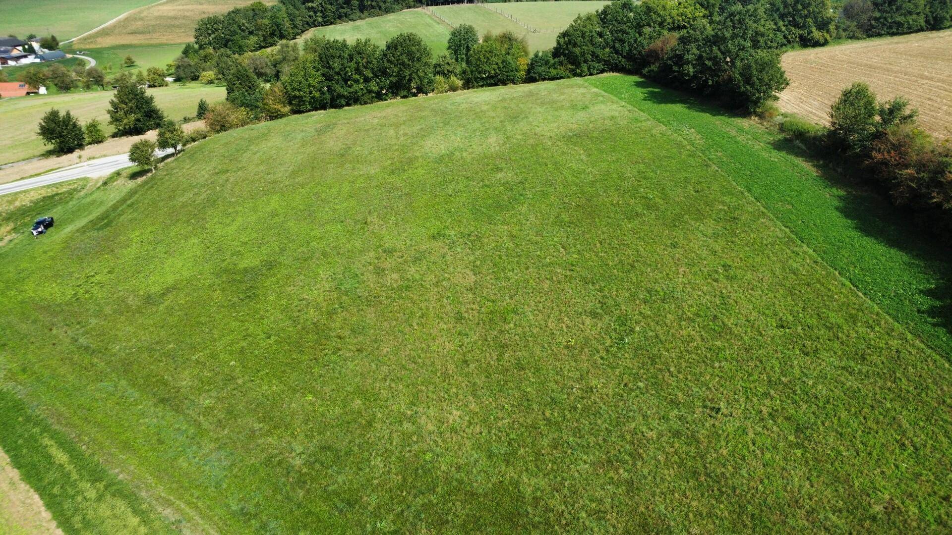 Wiese St. Leonhard am Forst