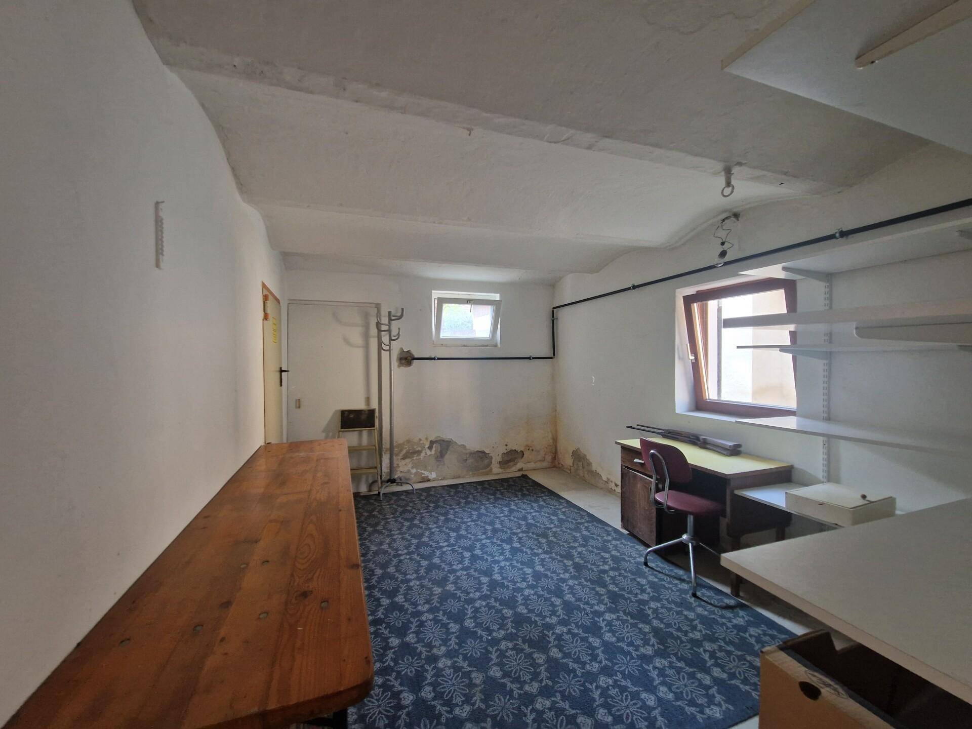 Kellerraum mit Teppichboden, Regalen und Fenster, der als Lager genutzt wird.