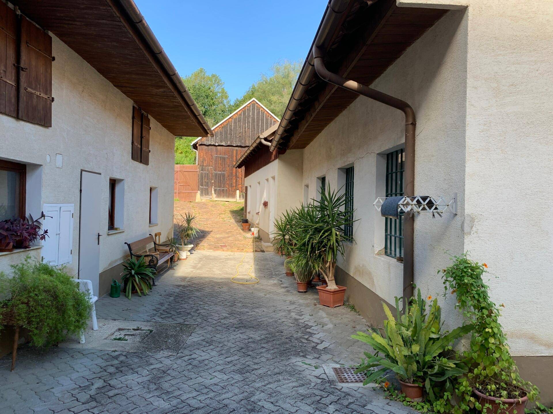 Gepflasterter Weg zwischen den Gebäuden mit vielen Topfpflanzen und sonnigem Ambiente.