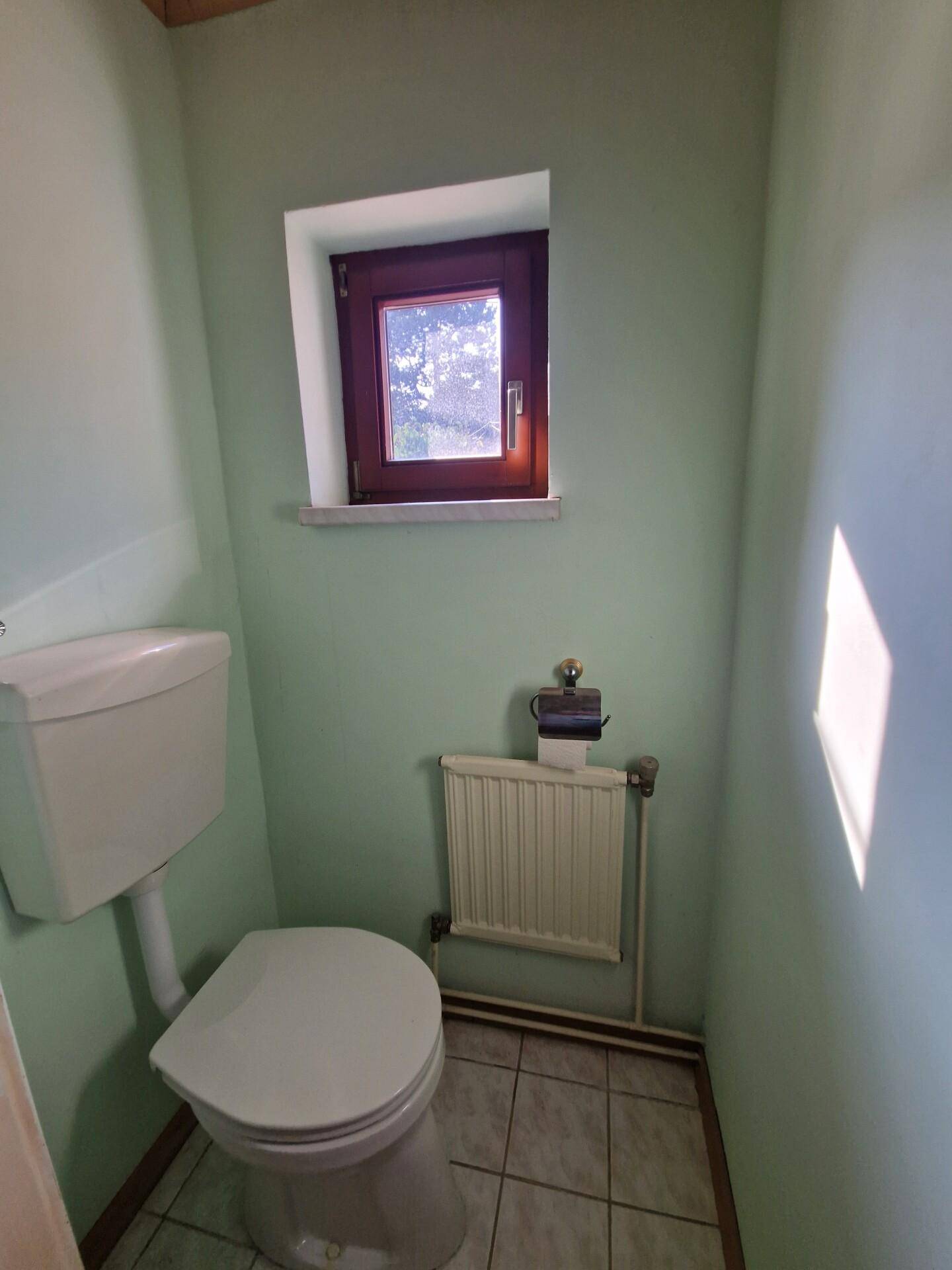 Kleines WC mit Fenster, Heizkörper und hellgrünen Wänden.