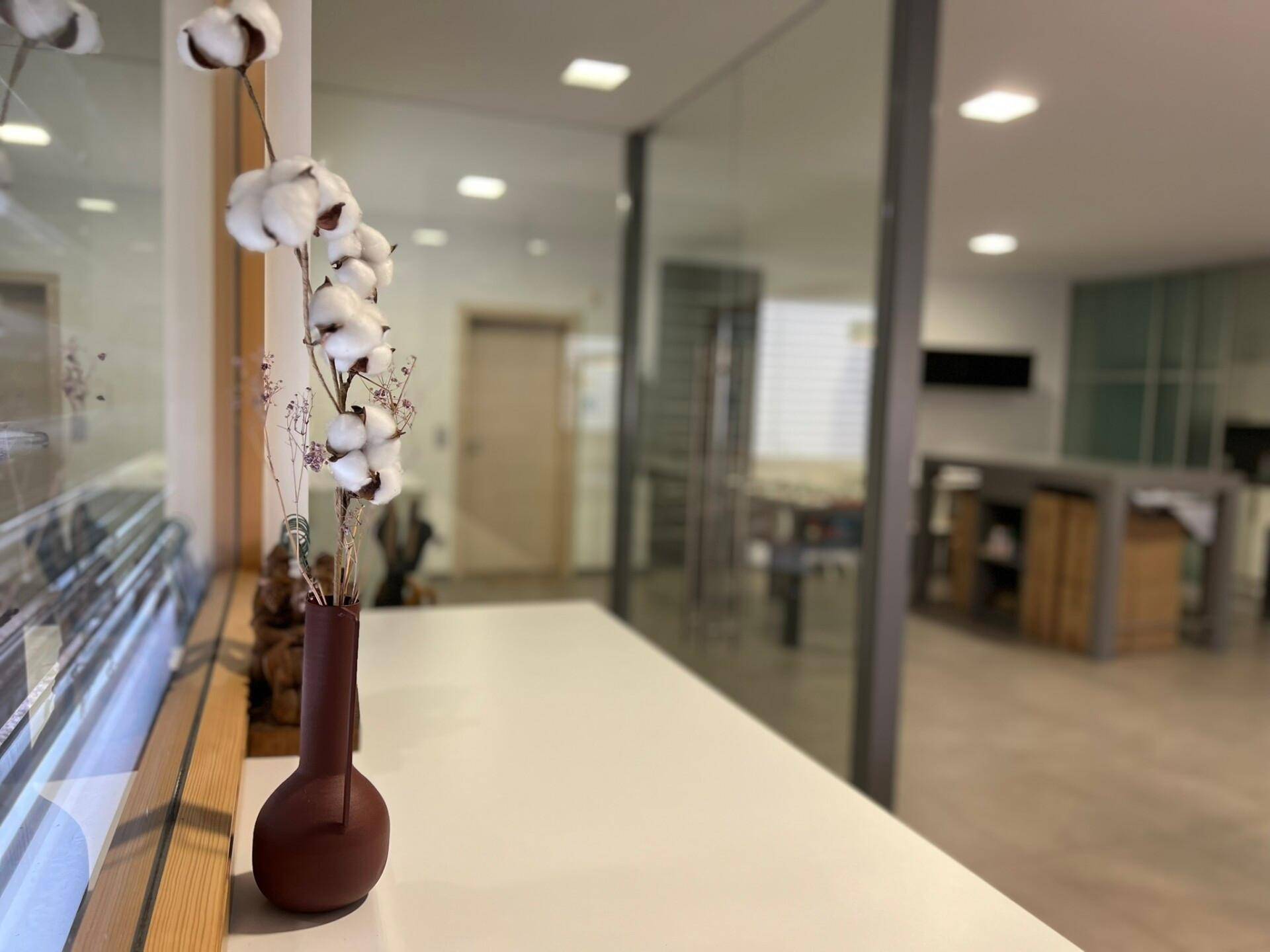 Dekorative Baumwollzweige in einer Vase auf einem Tisch, mit einem modernen Bürobereich im Hintergrund.