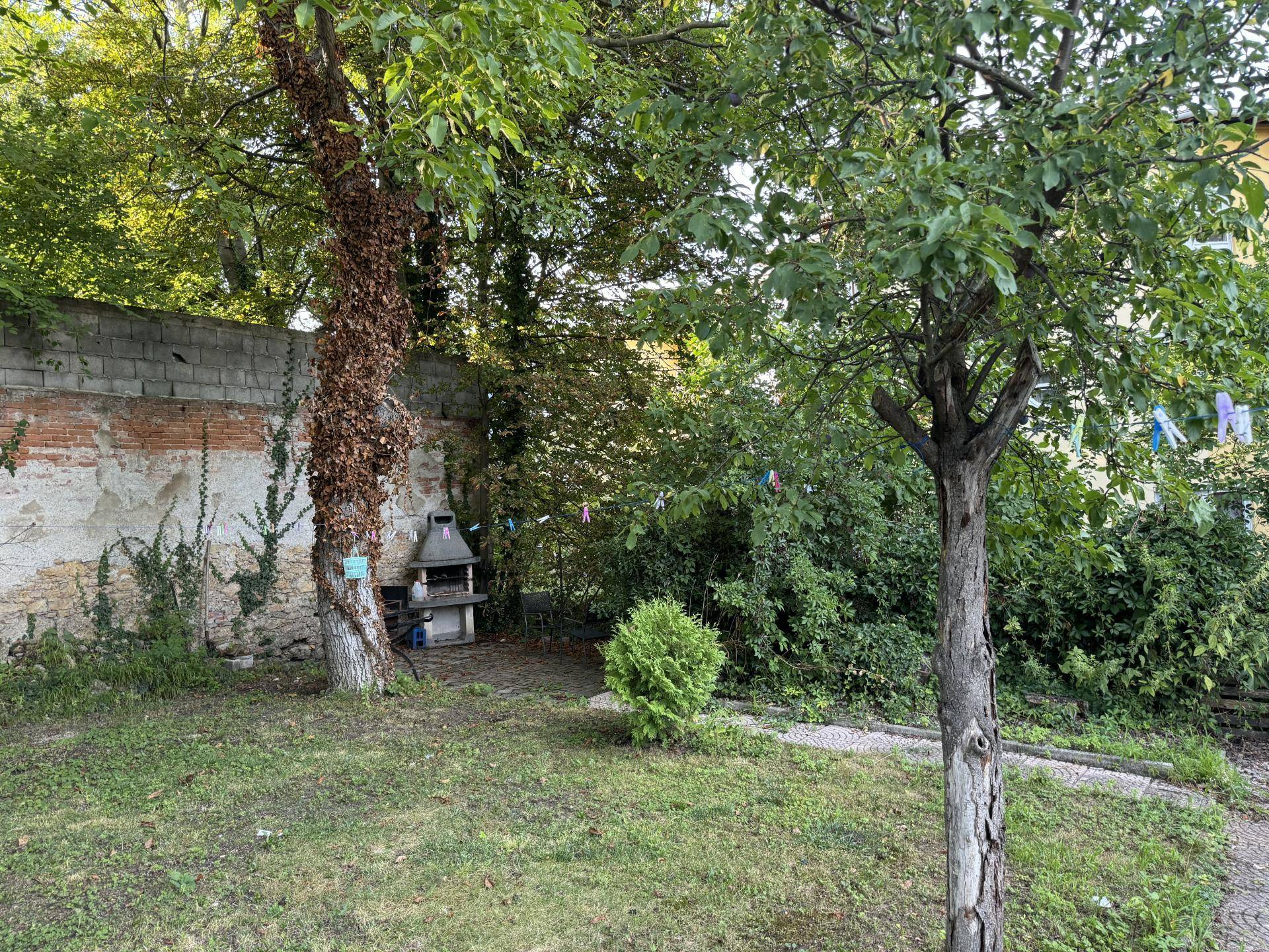 Grüner Gartenbereich mit altem Baumbestand und einer gemauerten Grillstelle im Hintergrund.